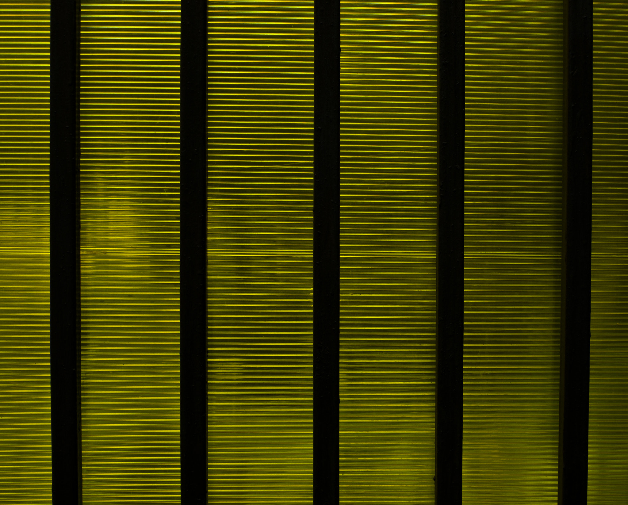 Pentax K-3 II sample photo. Оттенки желтого  photography