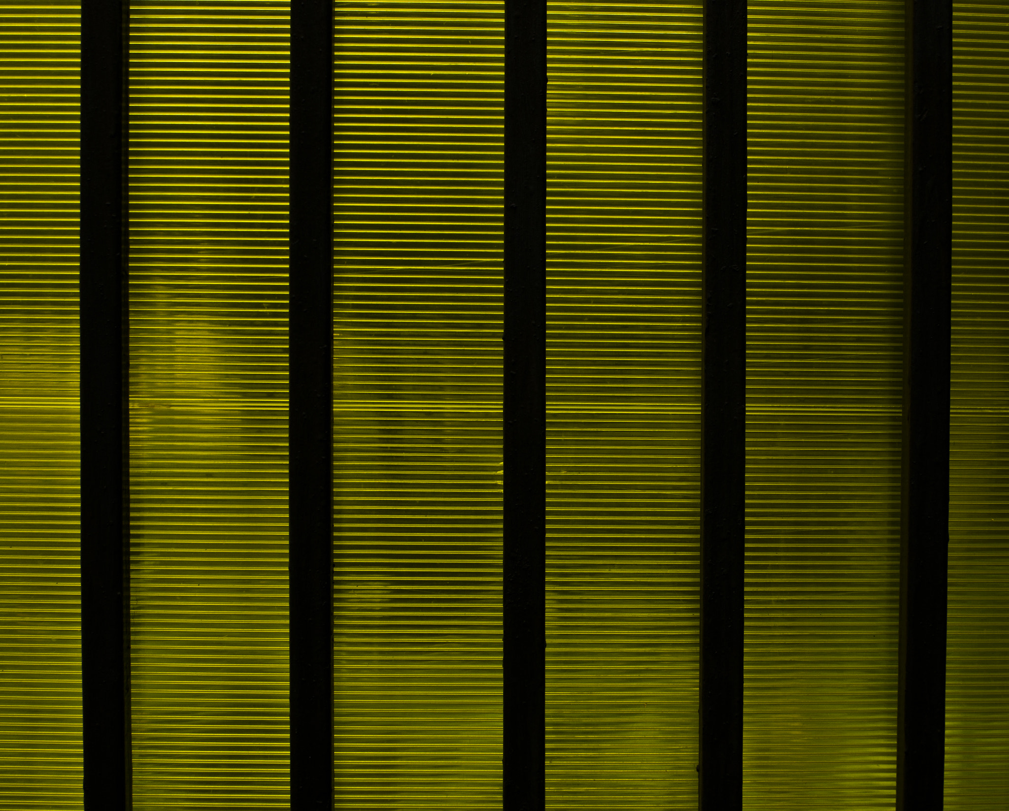 smc PENTAX-FA 28-70mm F4 AL sample photo. Оттенки желтого  photography