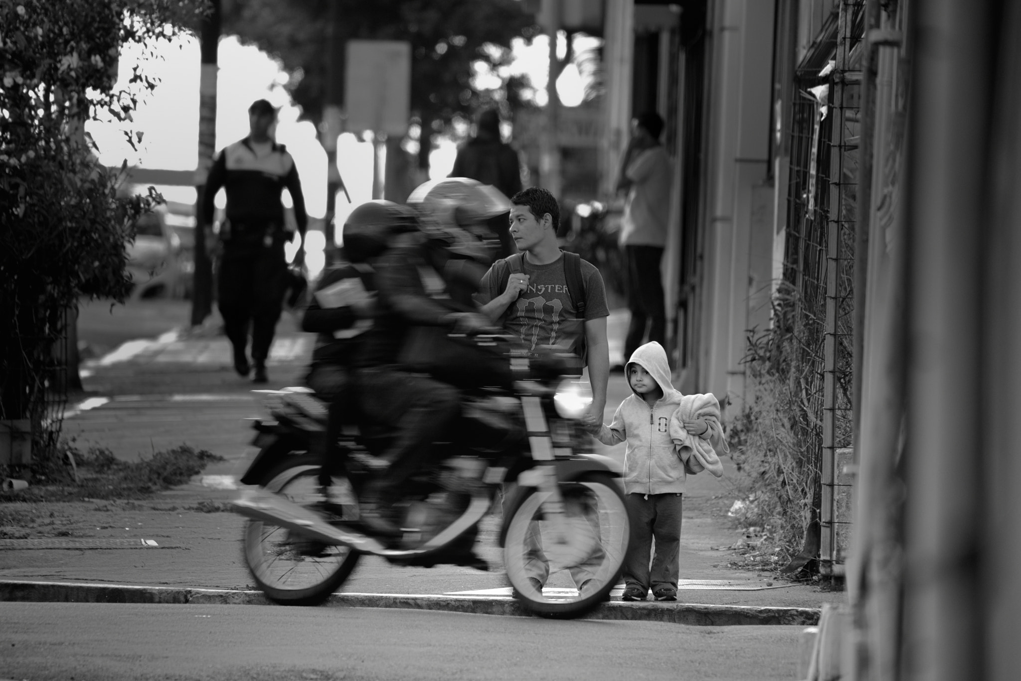 Sigma 50-500mm F4.5-6.3 DG OS HSM sample photo. Costarican's daily photography