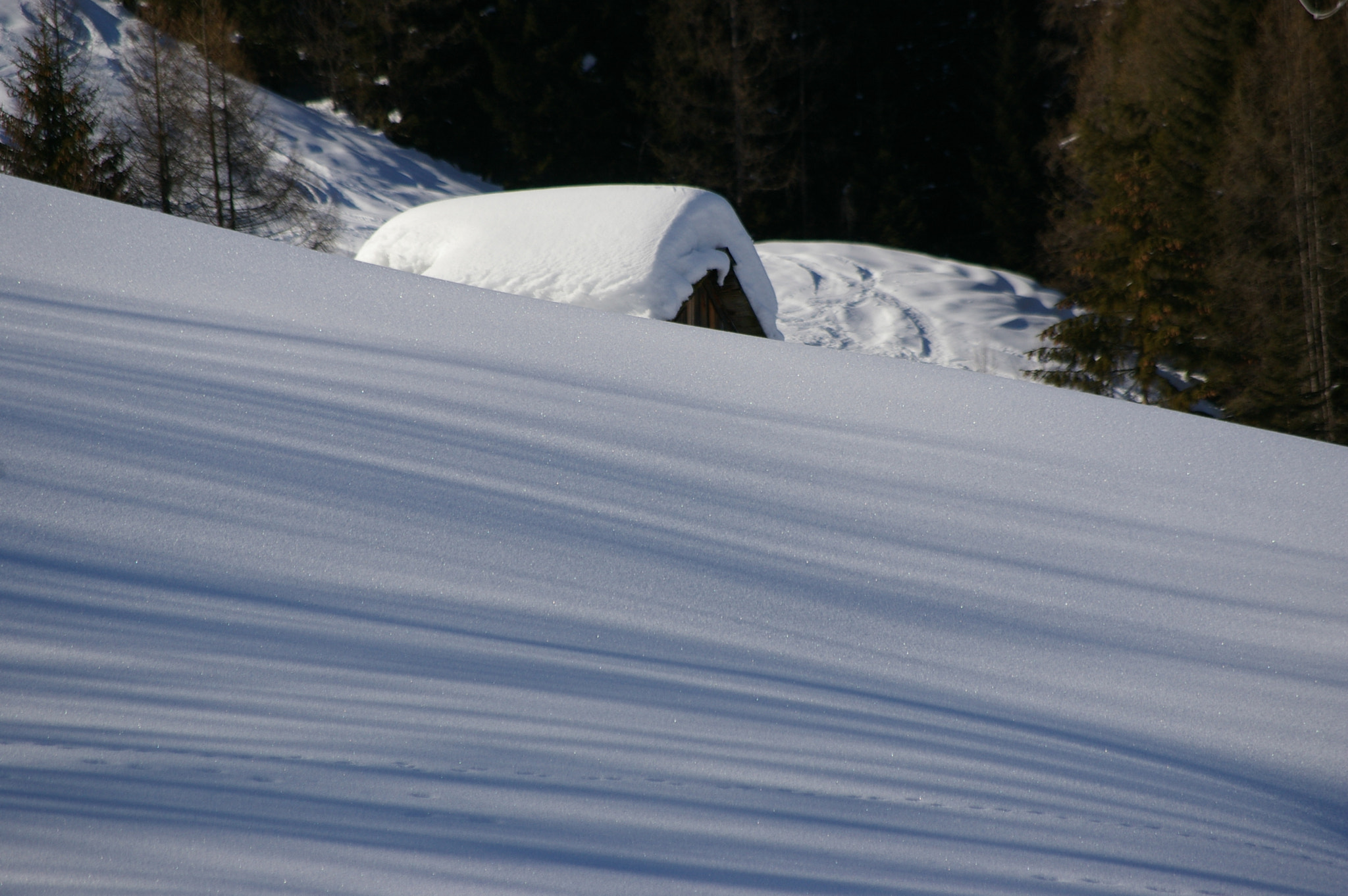 Pentax K100D Super sample photo. Shadow stripes in the snow photography