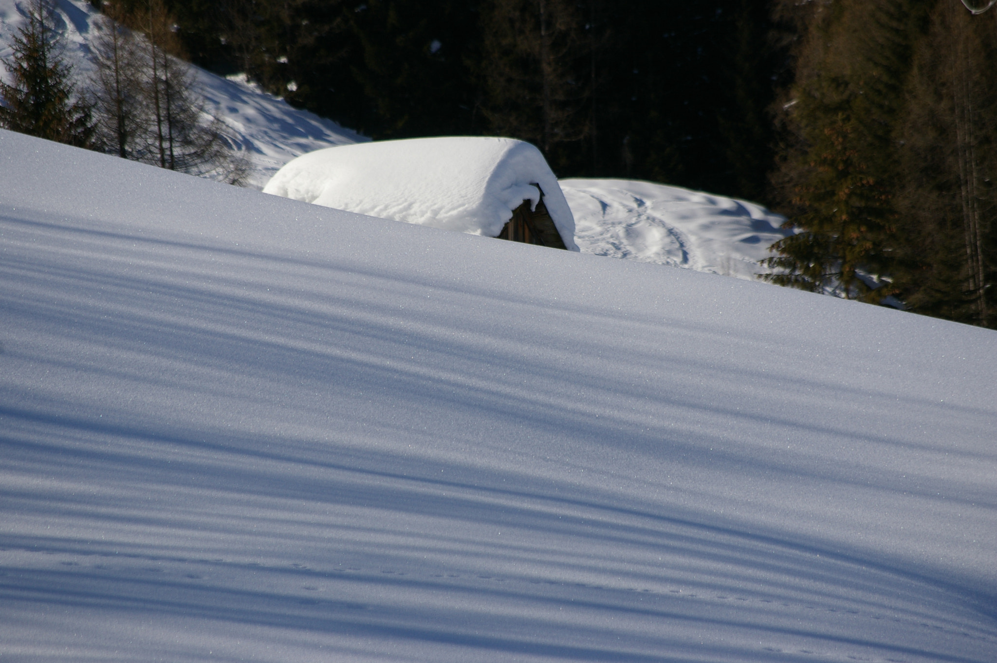 Pentax K100D Super + Pentax smc DA 50-200mm F4-5.6 ED sample photo. Shadow stripes in the snow photography