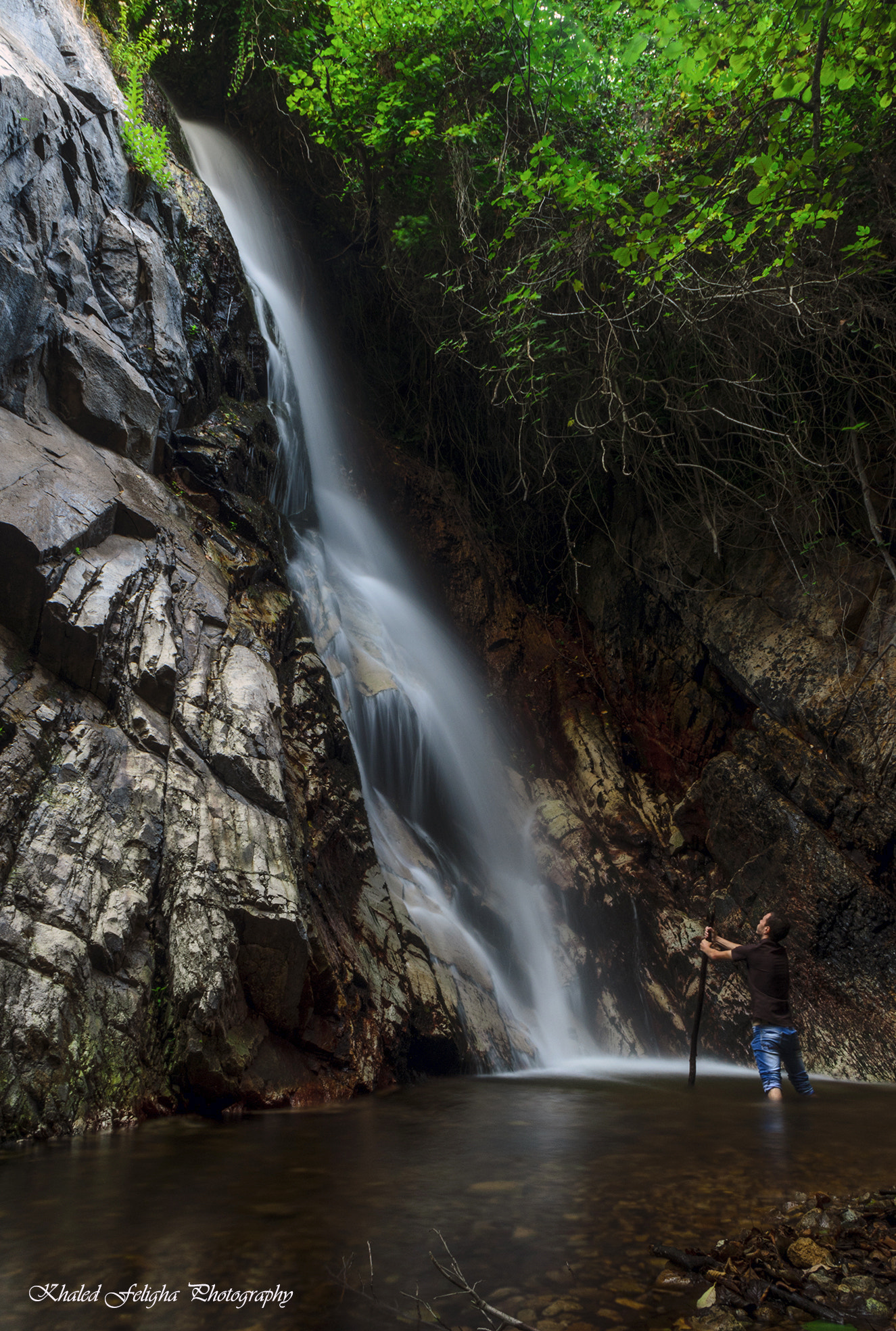 Sigma 18-50mm F2.8-4.5 DC OS HSM sample photo. The dream photography