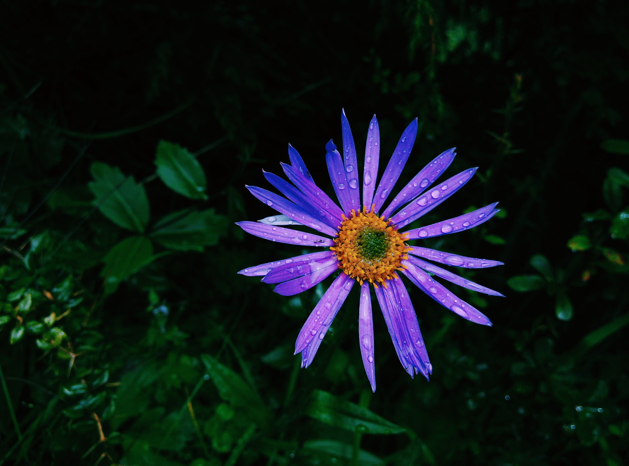 Xiaomi MI3 sample photo