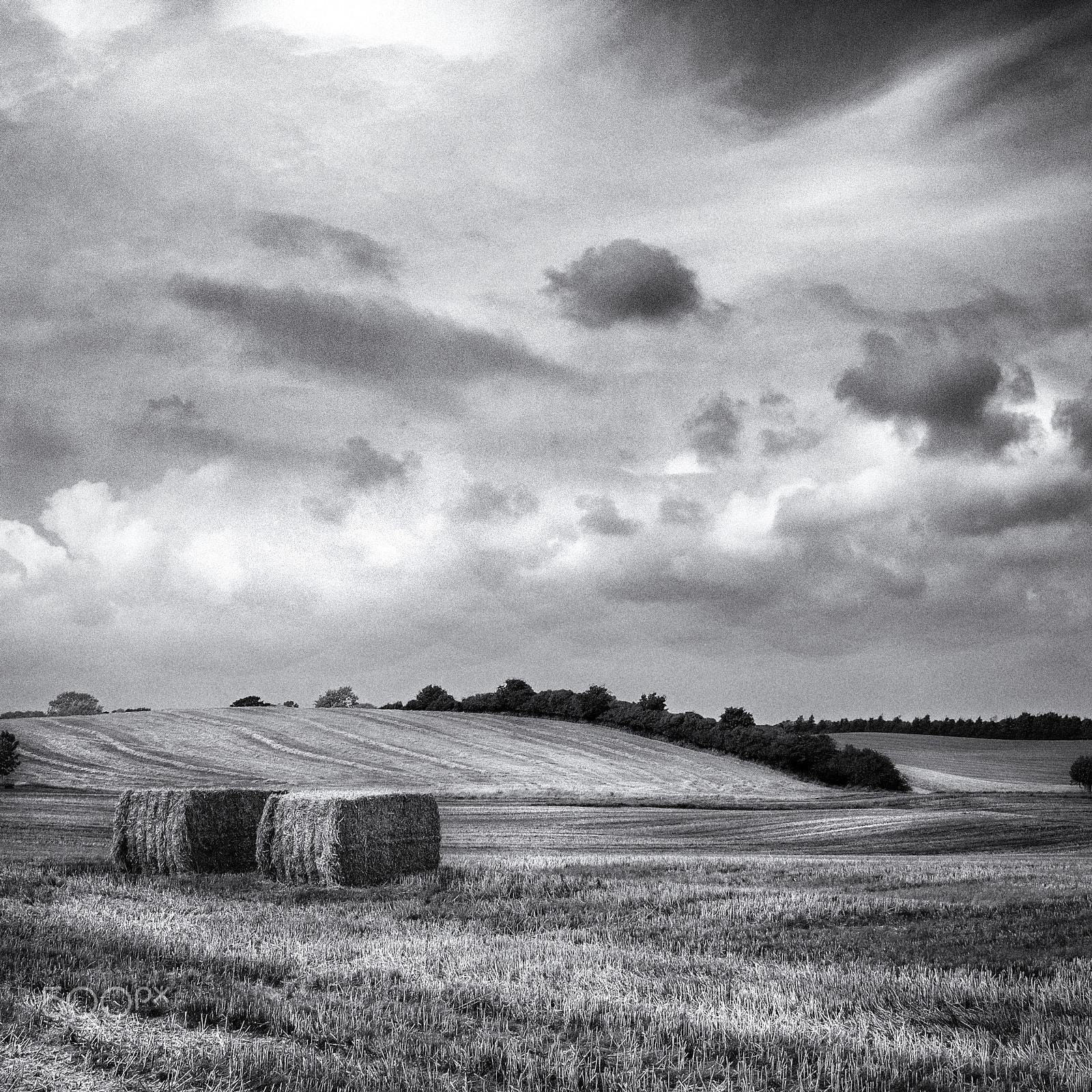 OLYMPUS M.14-150mm F4.0-5.6 II sample photo. Harvesttime photography