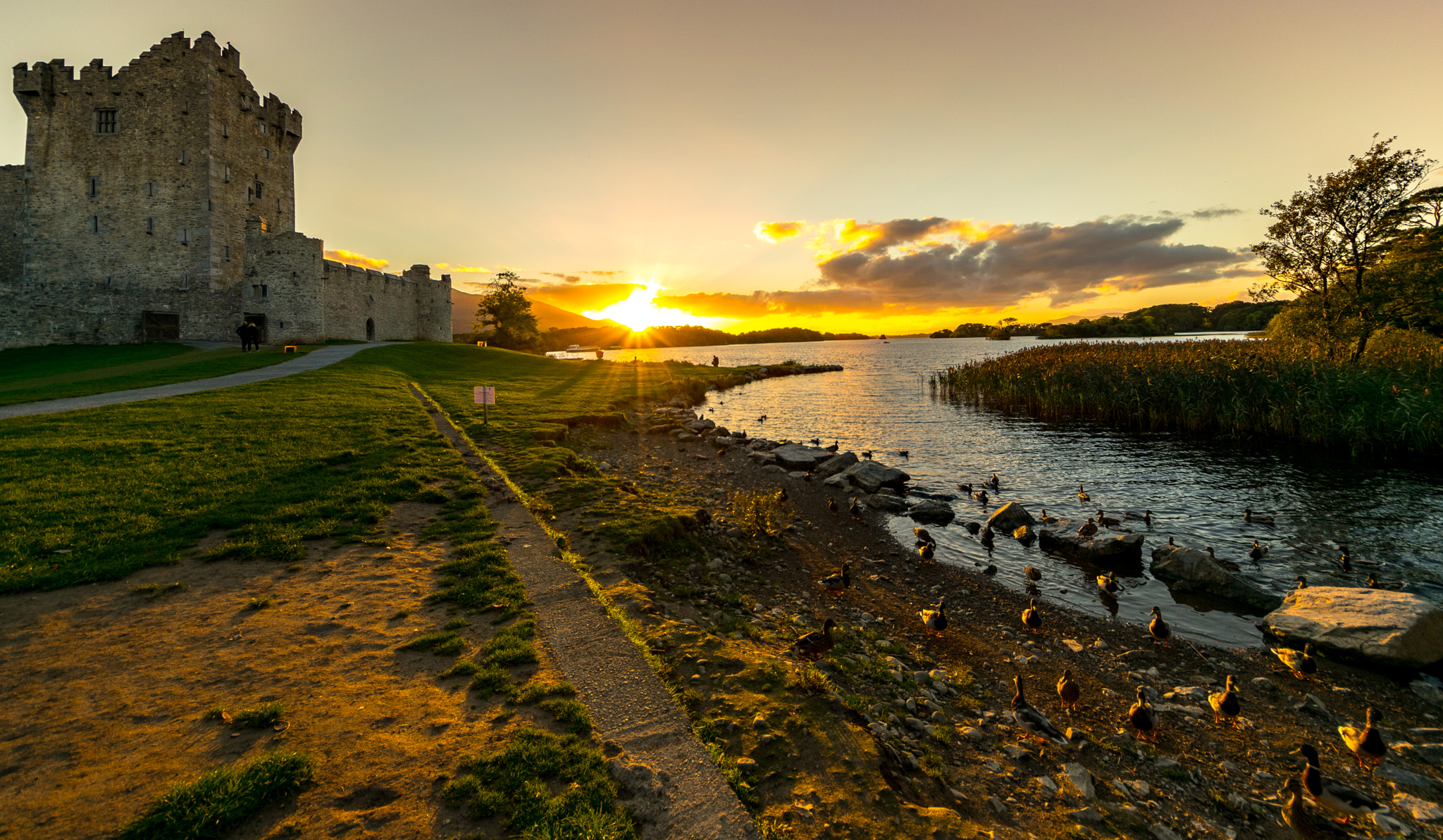 Nikon D5300 + Sigma 8-16mm F4.5-5.6 DC HSM sample photo. Ducks army from the castle photography