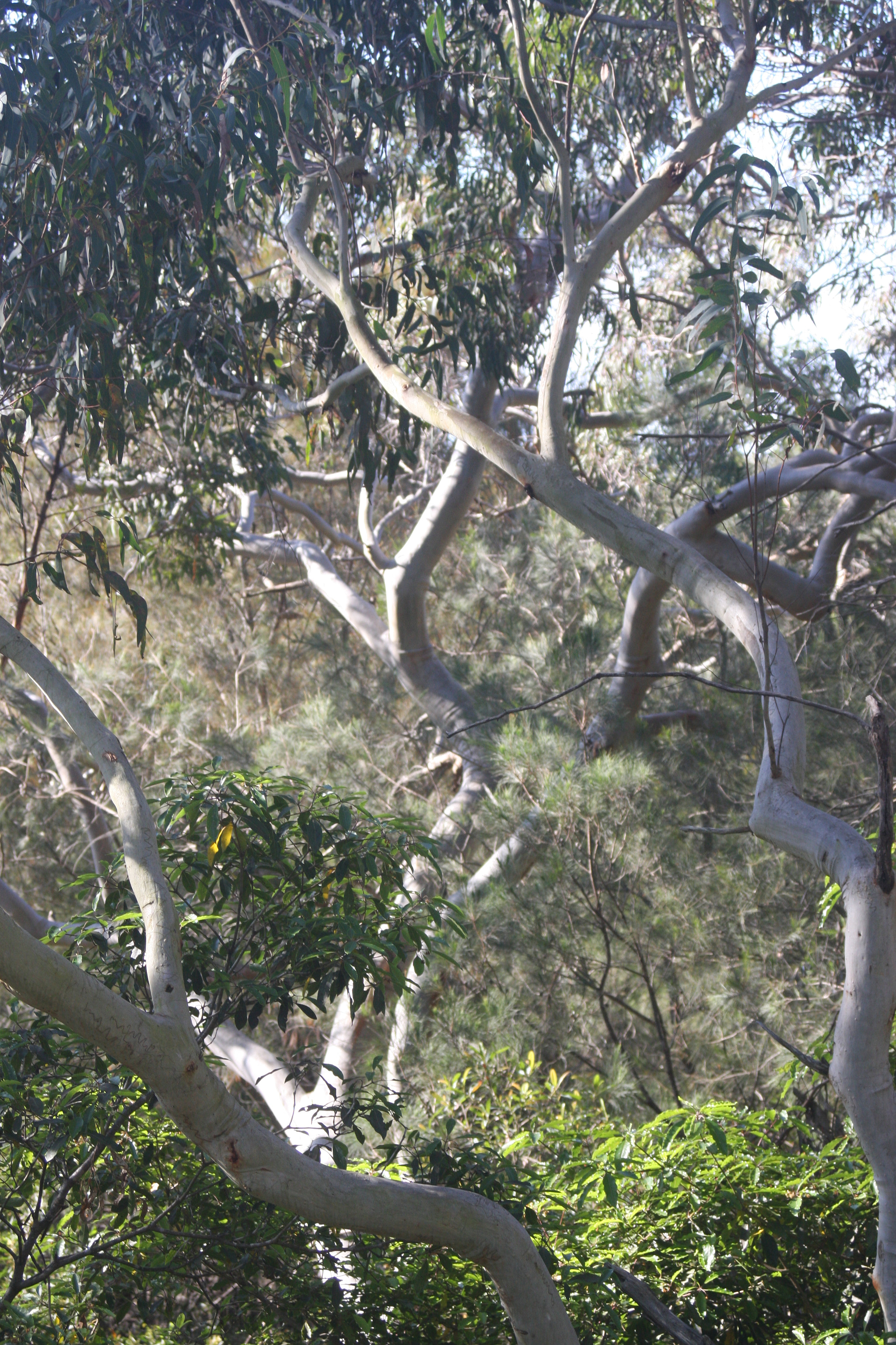 Canon EF 35-105mm f/3.5-4.5 sample photo. Img photography