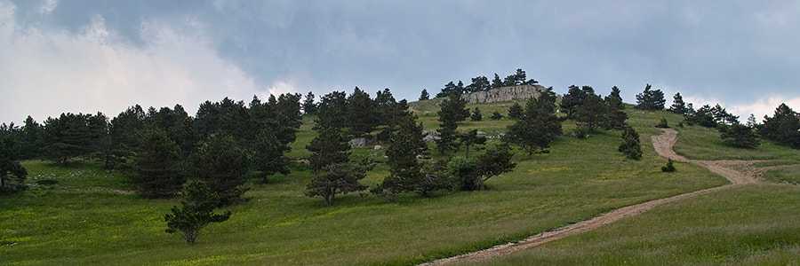 Sigma DP2 sample photo. On the mountain meadow. photography