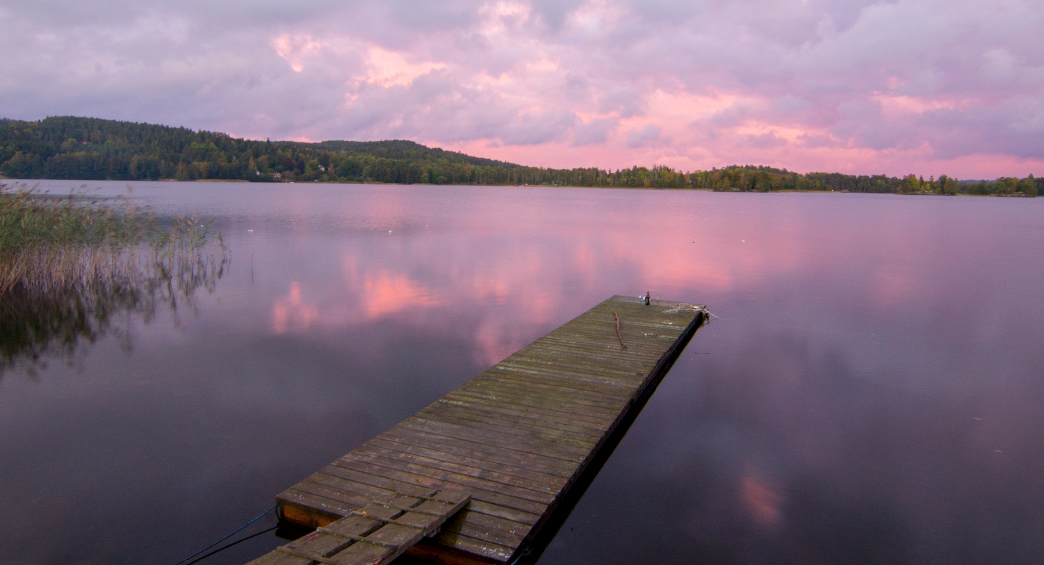 Sony a99 II + 20mm F2.8 sample photo. Bunn  photography