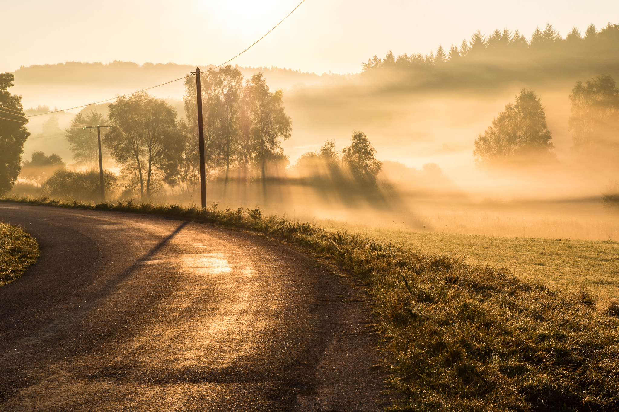 Canon EOS 760D (EOS Rebel T6s / EOS 8000D) + Sigma 24-70mm F2.8 EX DG Macro sample photo. Morning fog photography