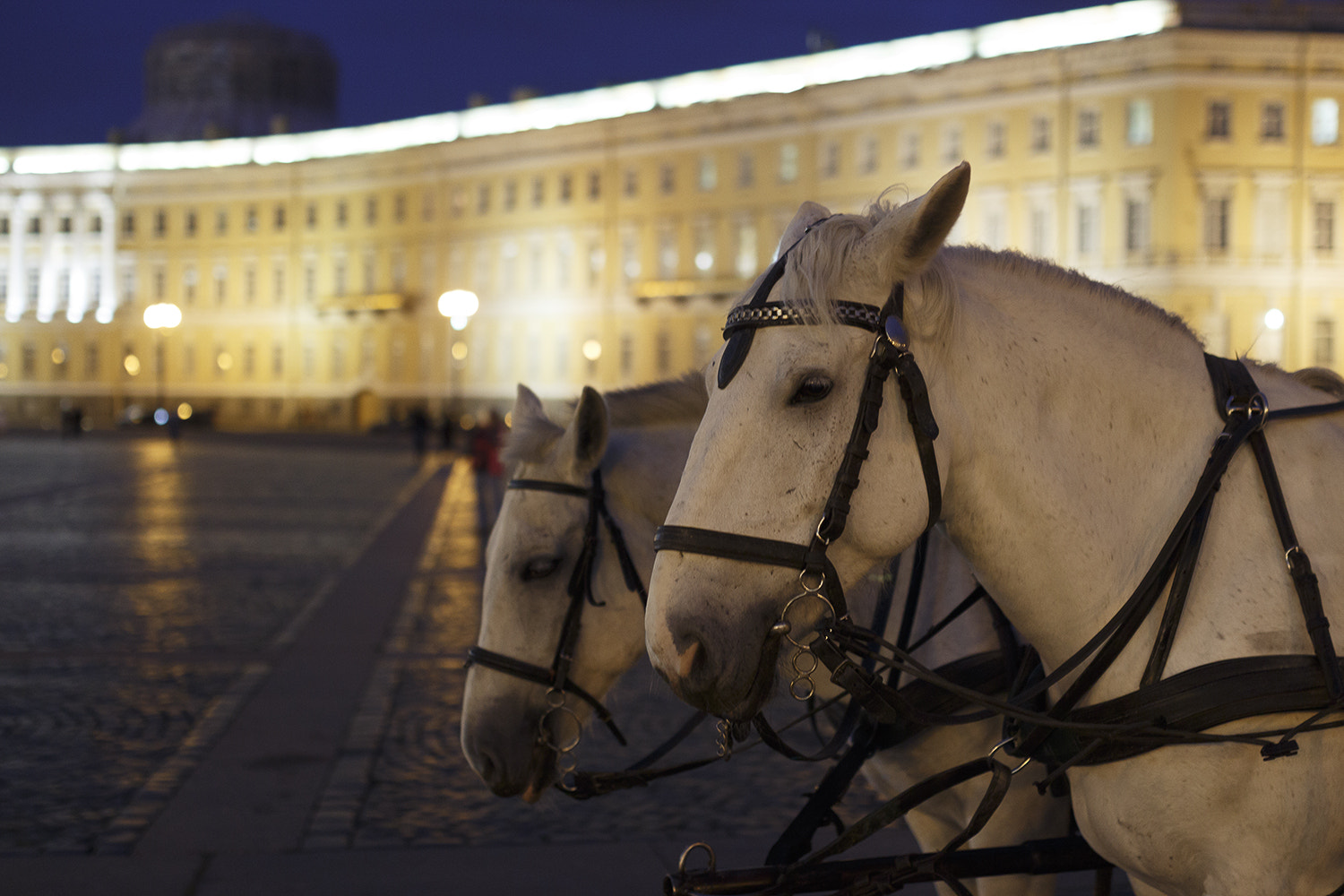 Canon EOS 650D (EOS Rebel T4i / EOS Kiss X6i) + Sigma 35mm F1.4 DG HSM Art sample photo. Saint-petersburg at night photography