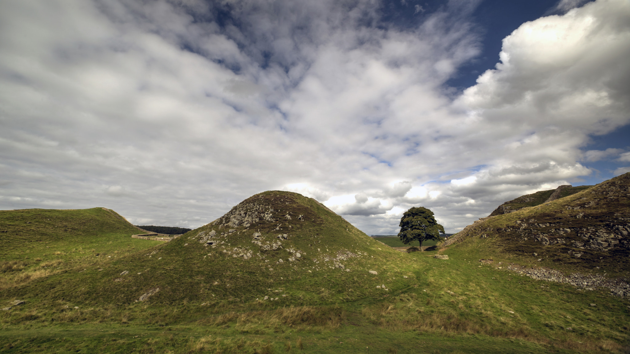 Sigma 10-20mm F3.5 EX DC HSM sample photo. Late summer, sycamore gap photography