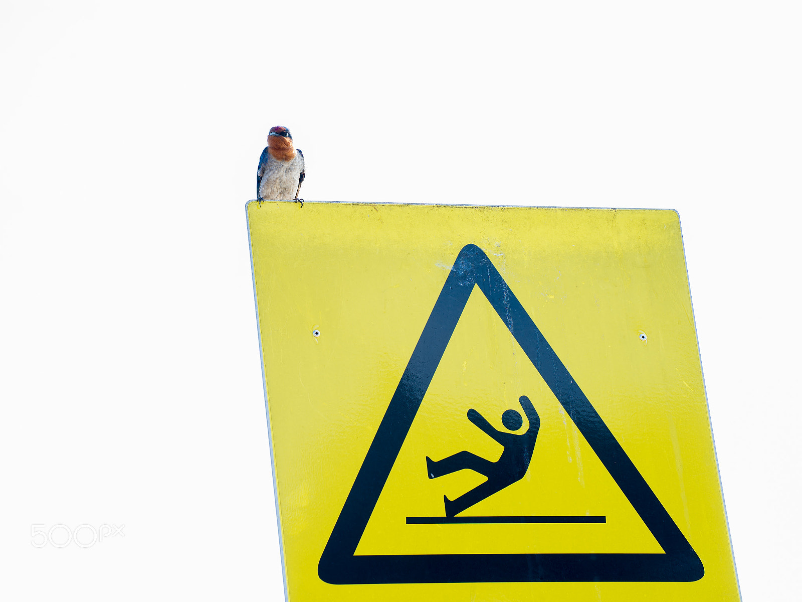 Nikon D600 sample photo. Warning photography