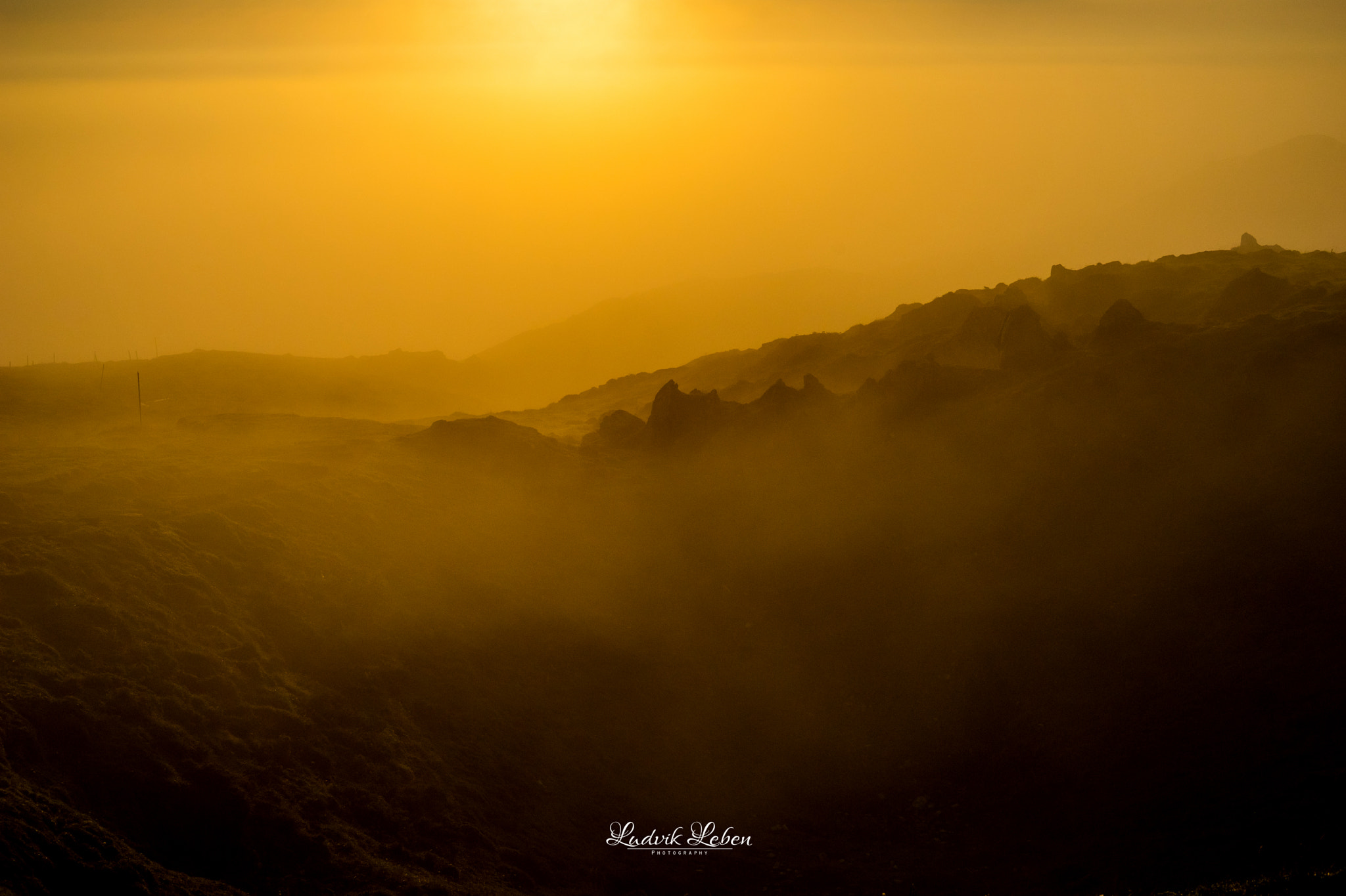 Sony 50mm F1.4 sample photo. Morning moments photography