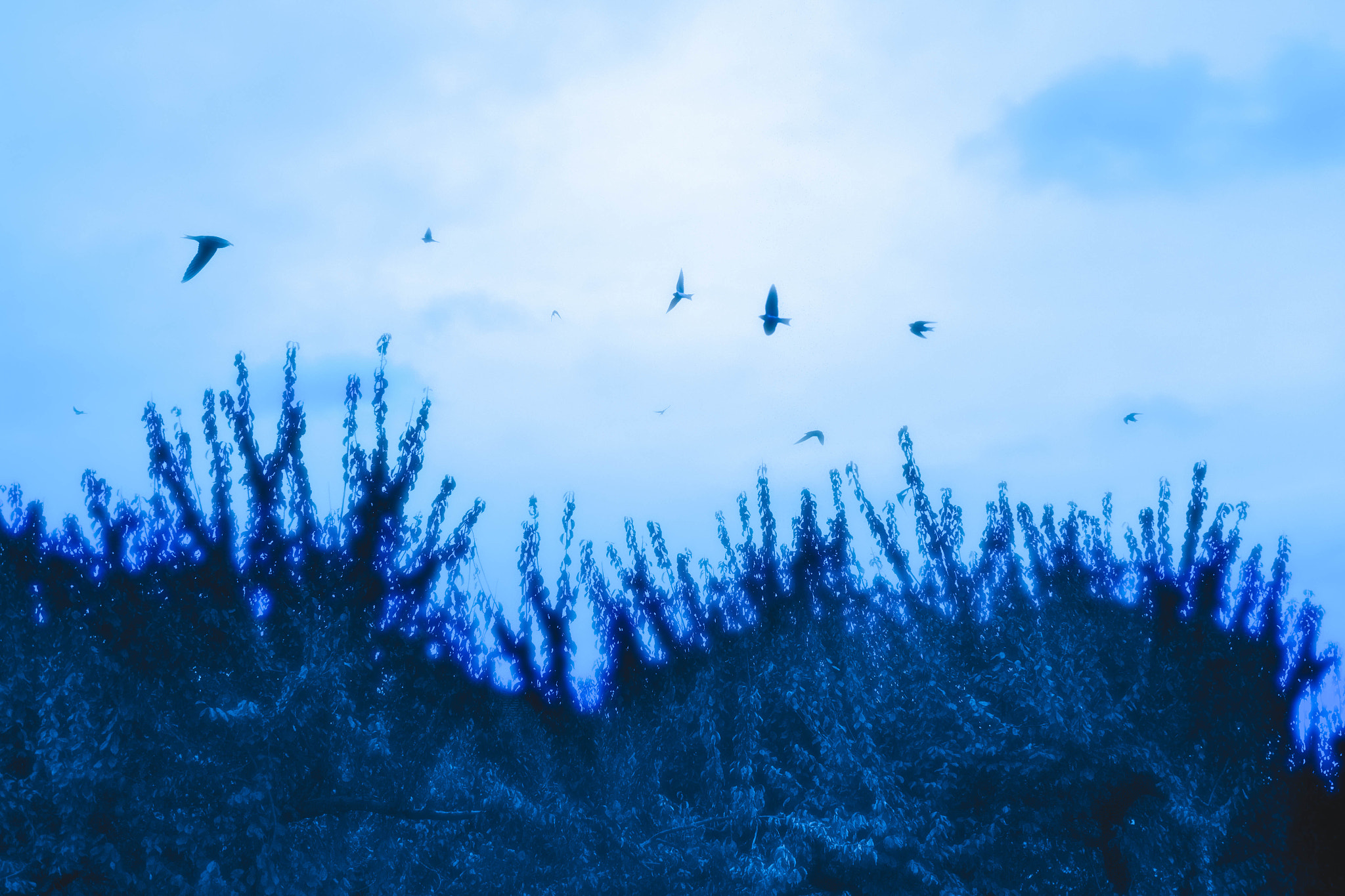 Canon EF 28mm F1.8 USM sample photo. Blue world photography