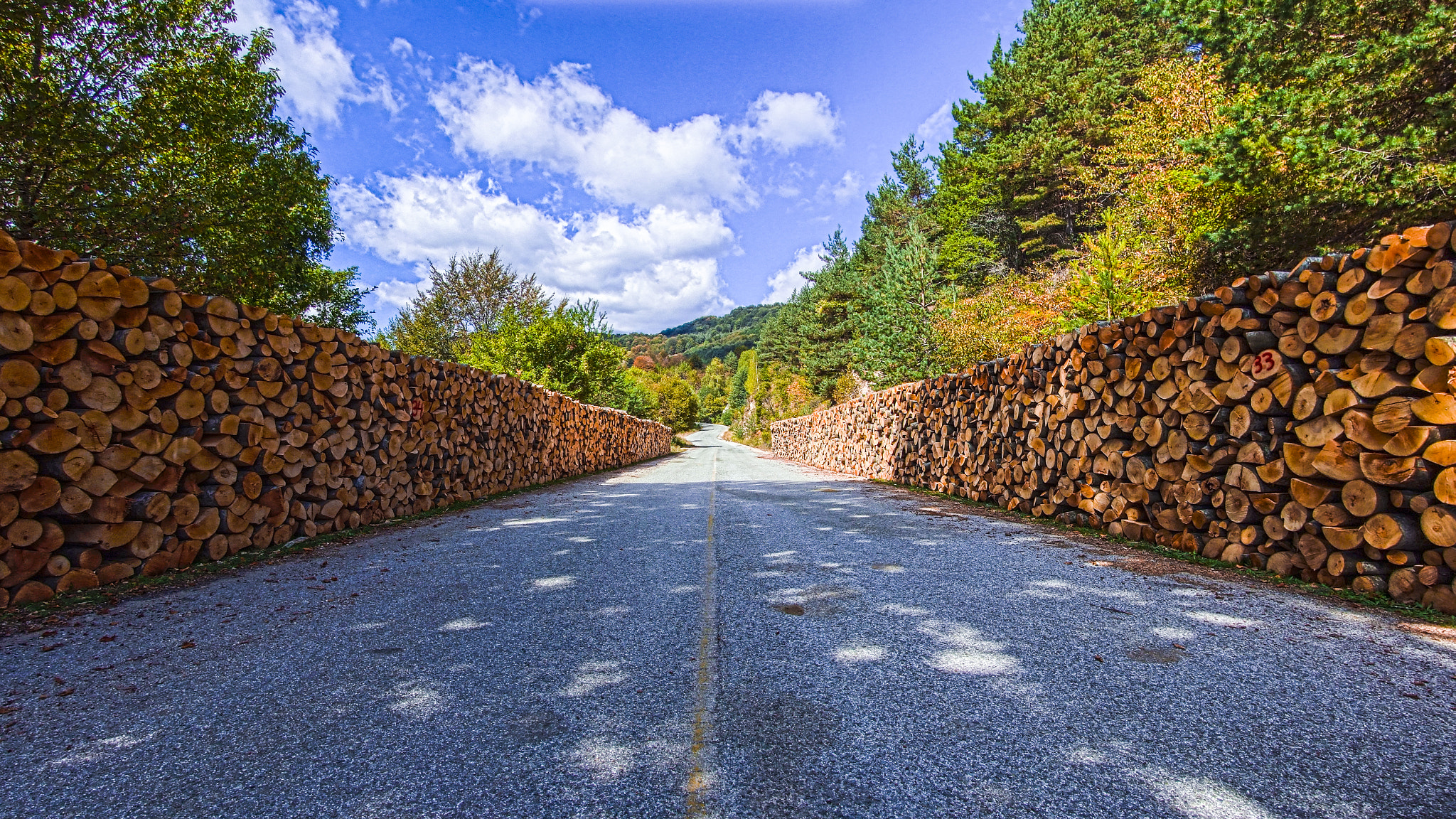 Fujifilm FinePix S6000fd sample photo. Logs beside the road photography