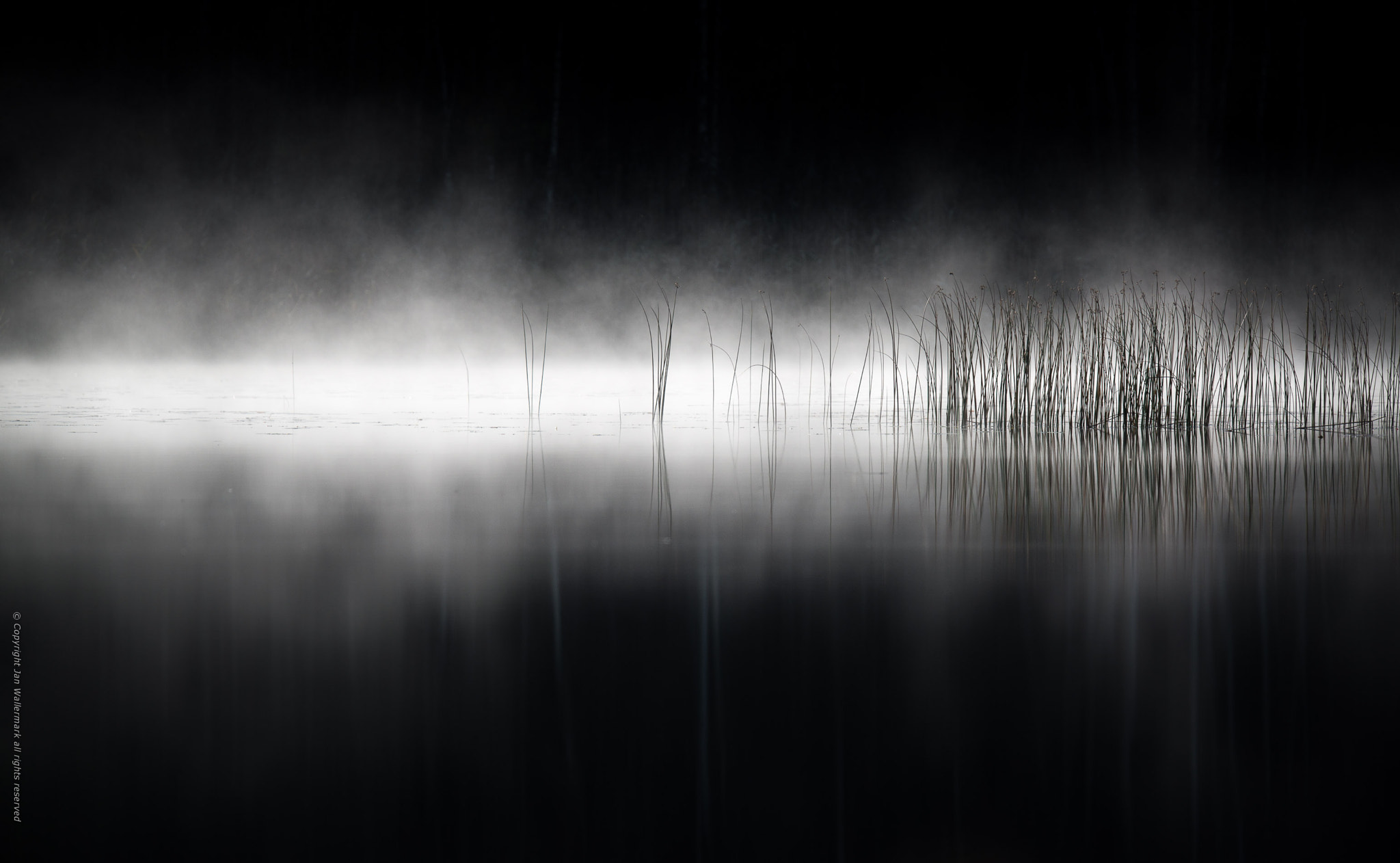 Nikon AF-S Nikkor 400mm F2.8E FL ED VR sample photo. September morning mist photography