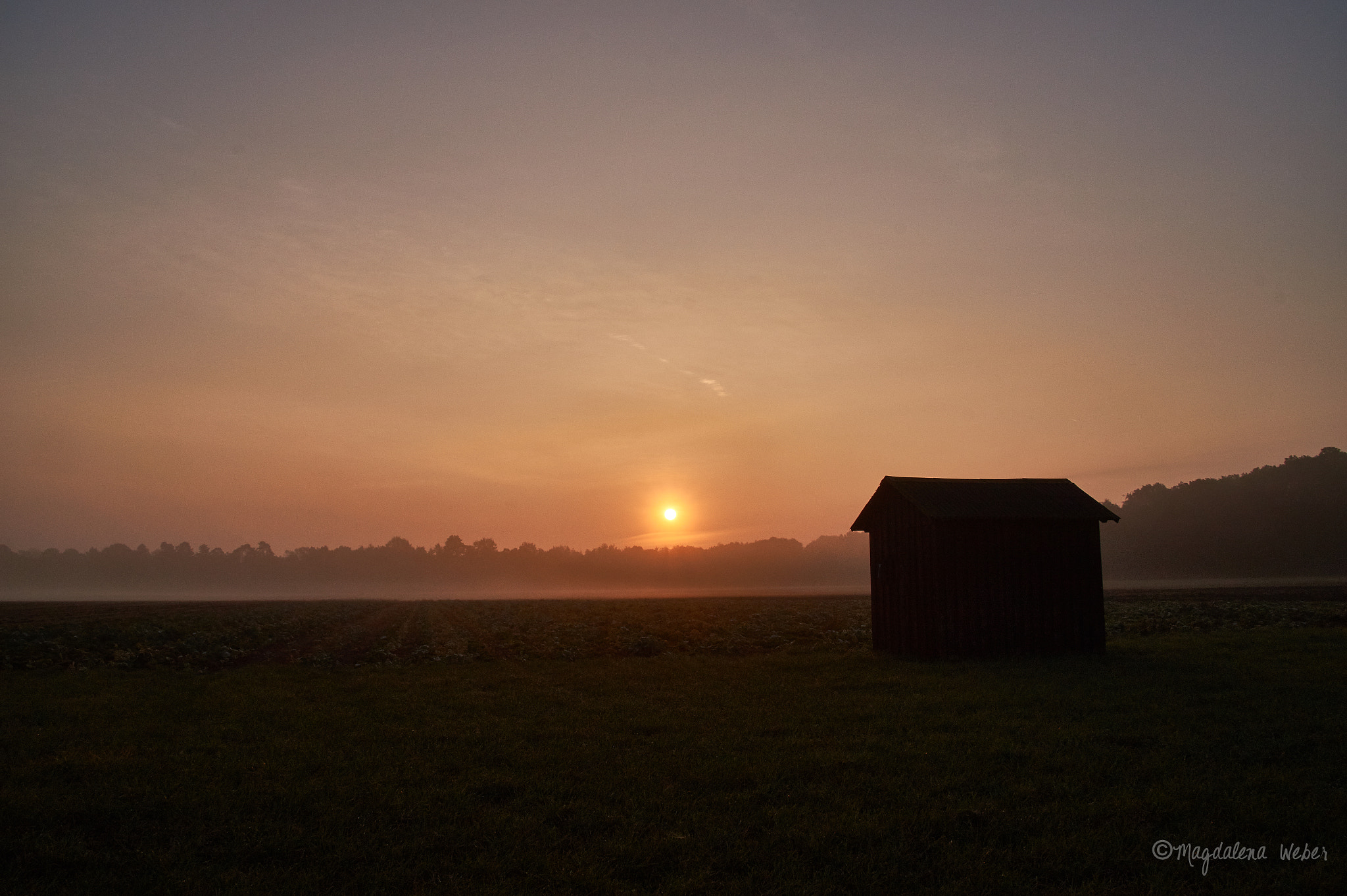 Sony DT 18-200mm F3.5-6.3 sample photo. Misty morning photography