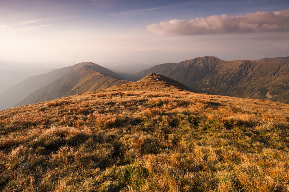 Canon EOS 40D sample photo. Morning in the mountains photography