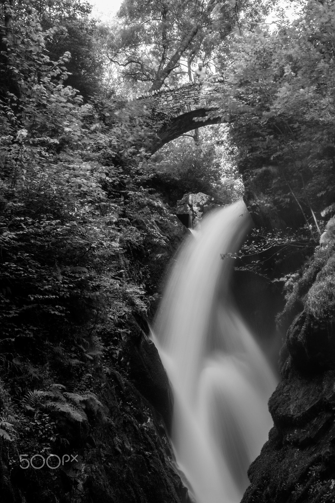 Sigma 18-250mm F3.5-6.3 DC OS HSM sample photo. Aria force photography