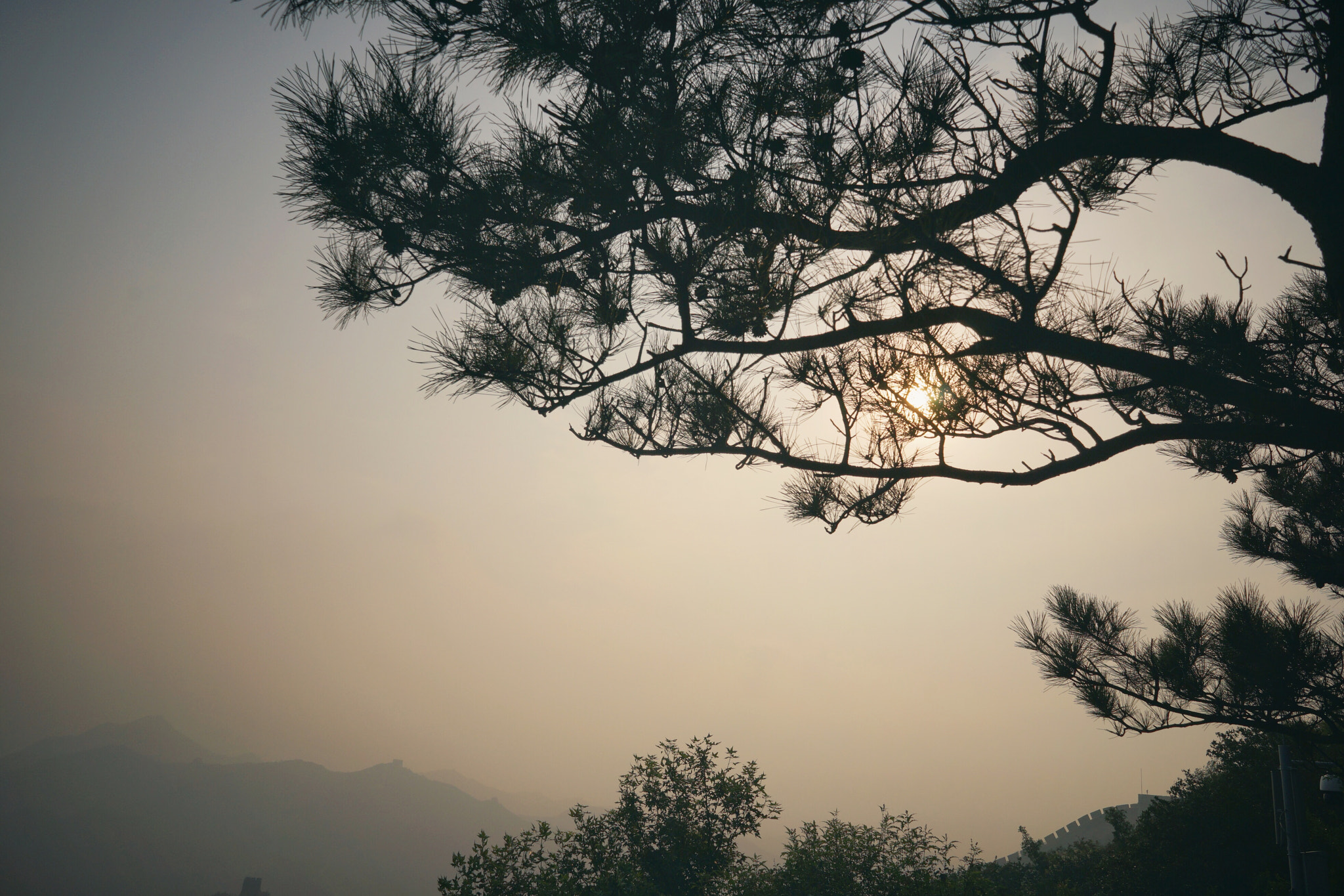 Sony FE 28mm F2 sample photo
