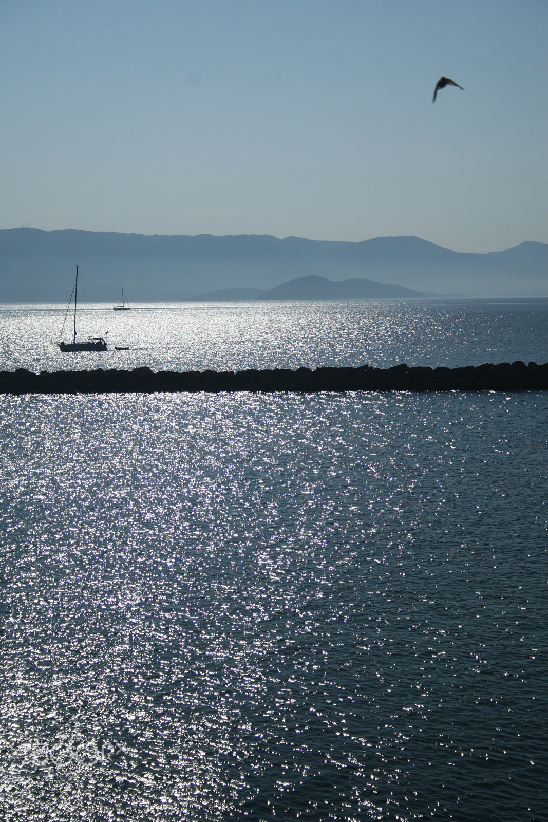 Canon EF-S 18-55mm F3.5-5.6 sample photo. Boat & bird photography