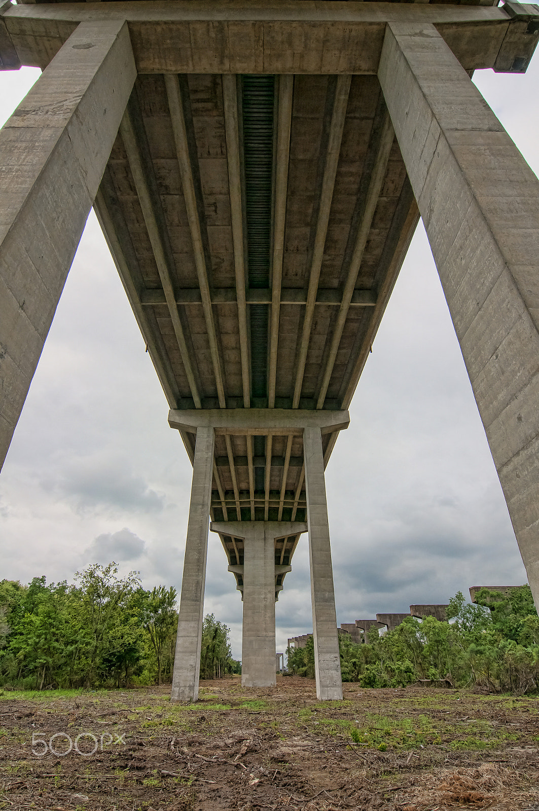 Nikon D300S sample photo. Looking to the sky photography