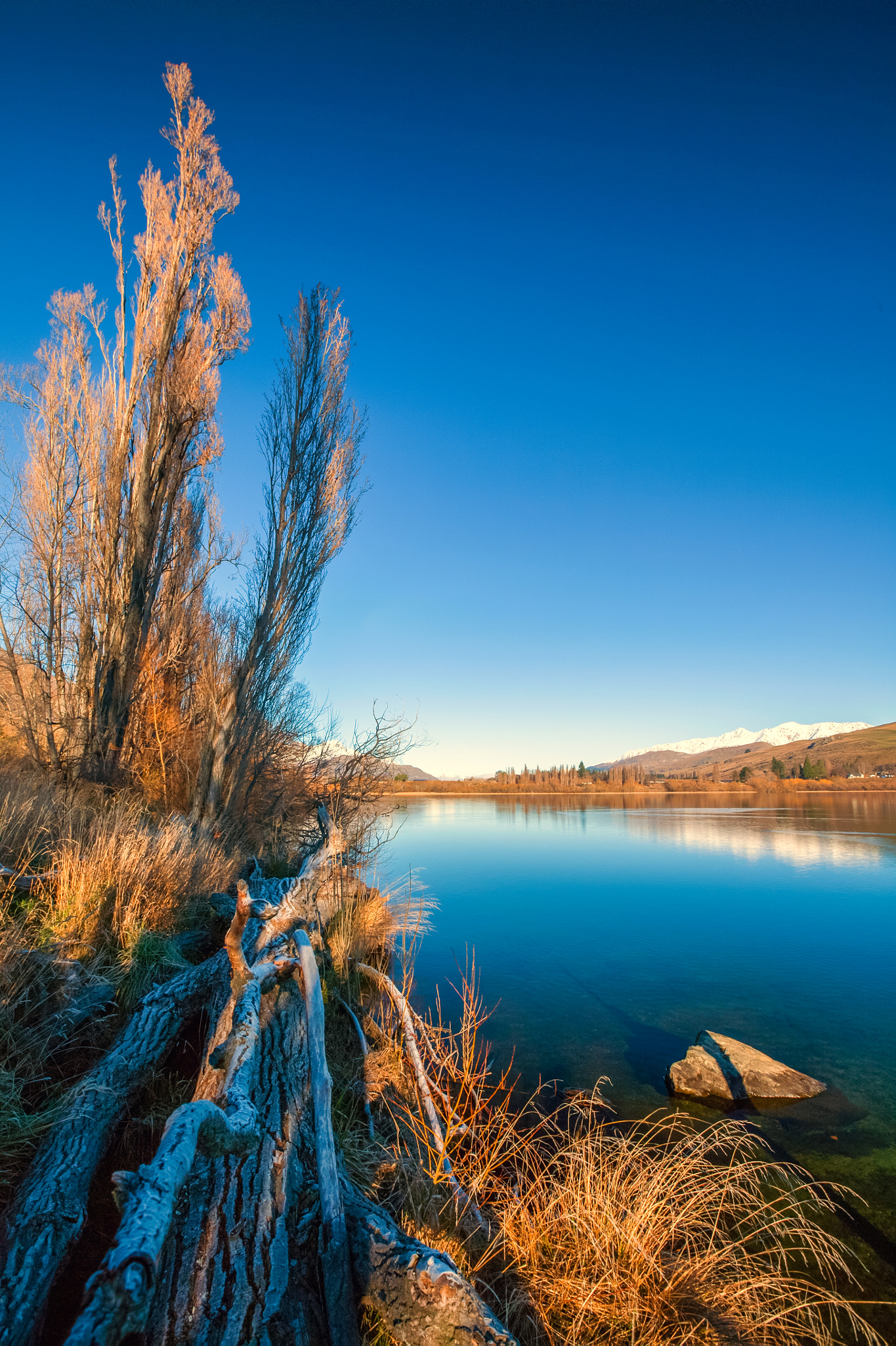Canon EF 16-35mm F2.8L II USM sample photo. Frost in the morning photography