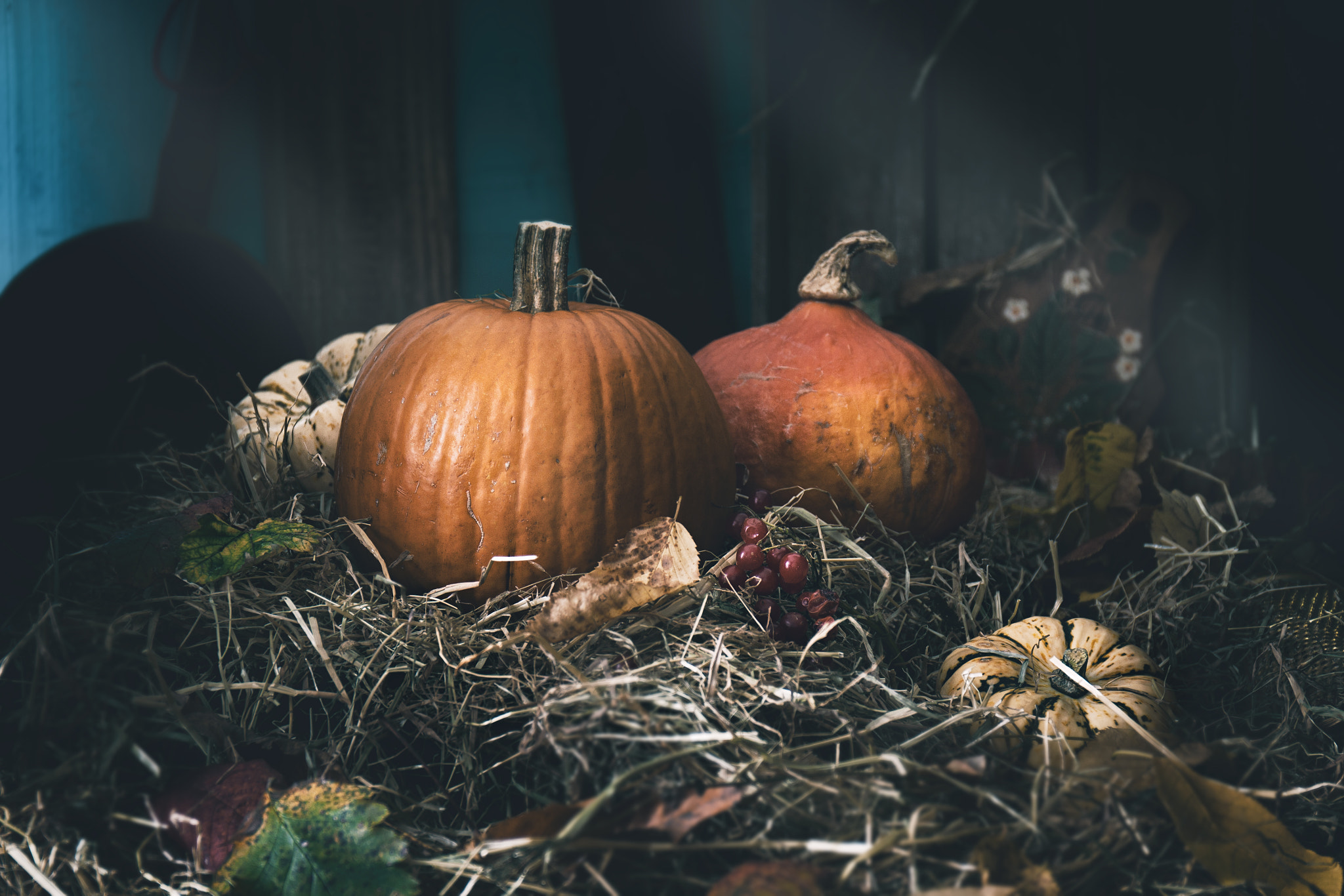 Canon EF 24-70mm F4L IS USM sample photo. Still life with pumpkin, mystic or moon light. photography