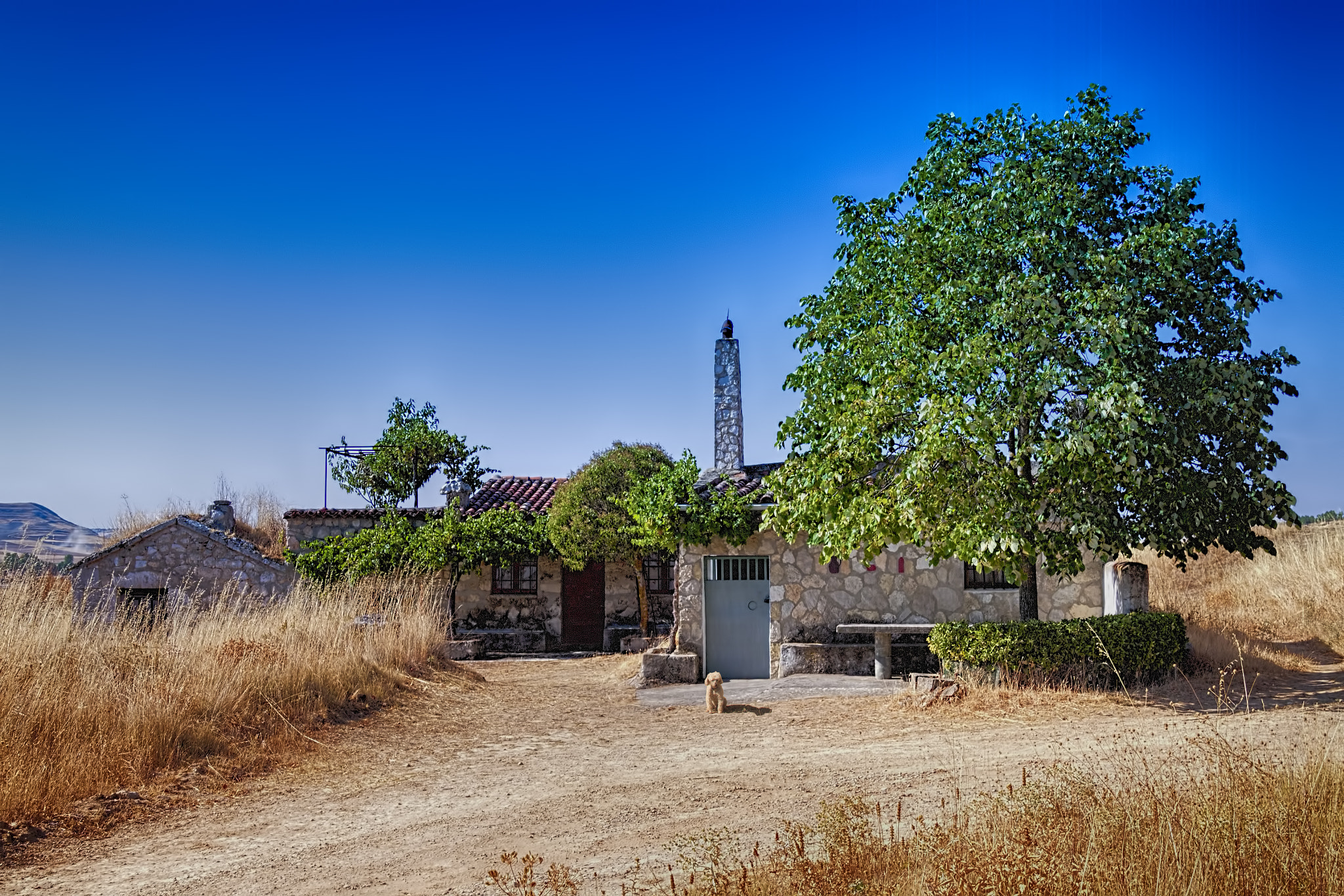Sigma 18-200mm f/3.5-6.3 DC OS sample photo. Wineries carramolino photography