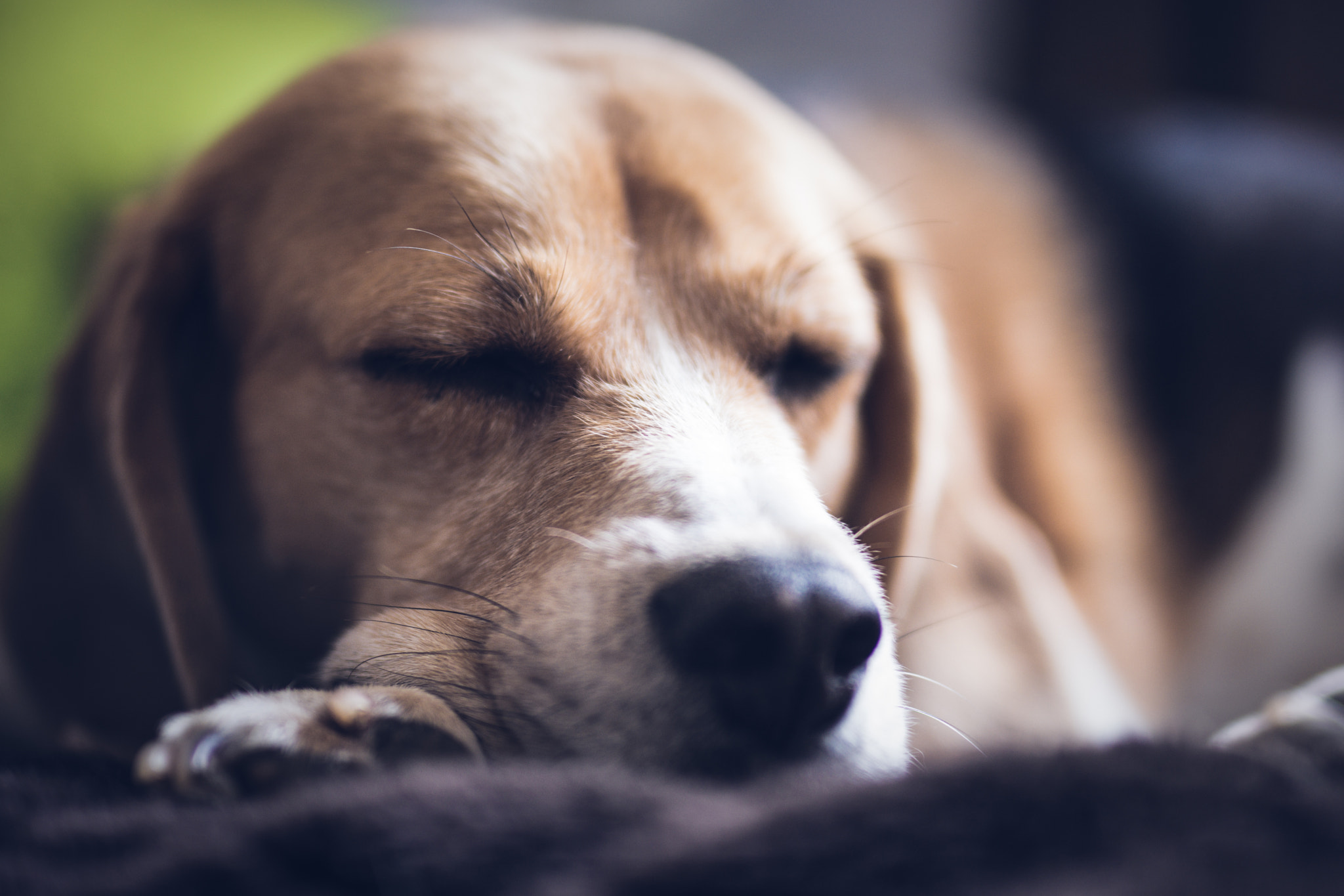 Nikon D7200 + Sigma 50mm F1.4 DG HSM Art sample photo. Dreamy photography