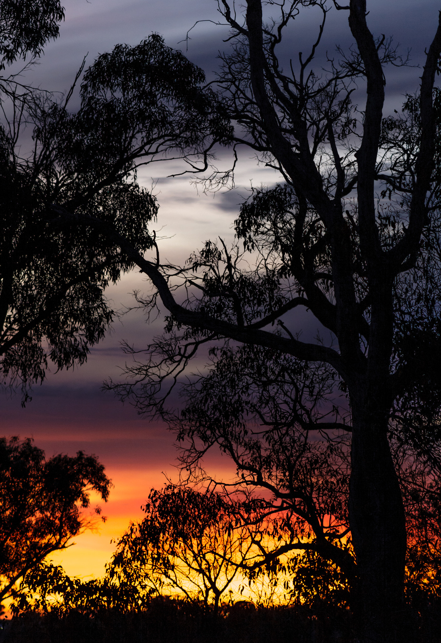 Canon EOS 400D (EOS Digital Rebel XTi / EOS Kiss Digital X) + EF75-300mm f/4-5.6 sample photo. Morning sunrise over lake joondalup photography