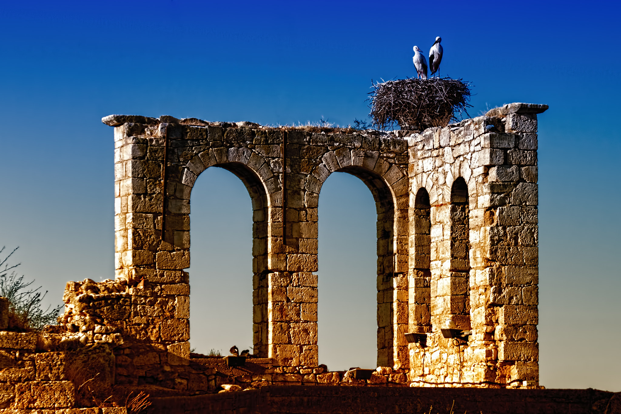Sigma 18-200mm f/3.5-6.3 DC OS sample photo. Storks on ruins photography