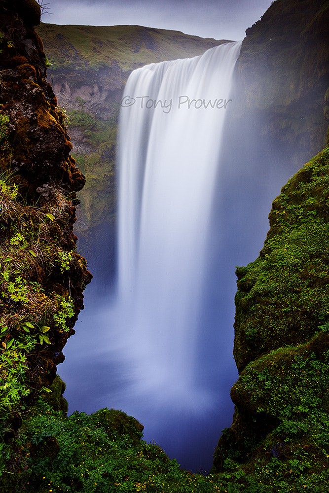 Canon EF 24mm f/1.4L sample photo. Intotheblue photography