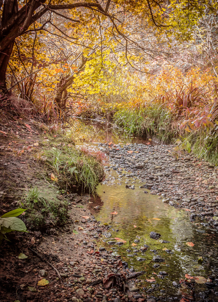 Canon EF 75-300mm F4.0-5.6 IS USM sample photo. Autumn stream photography
