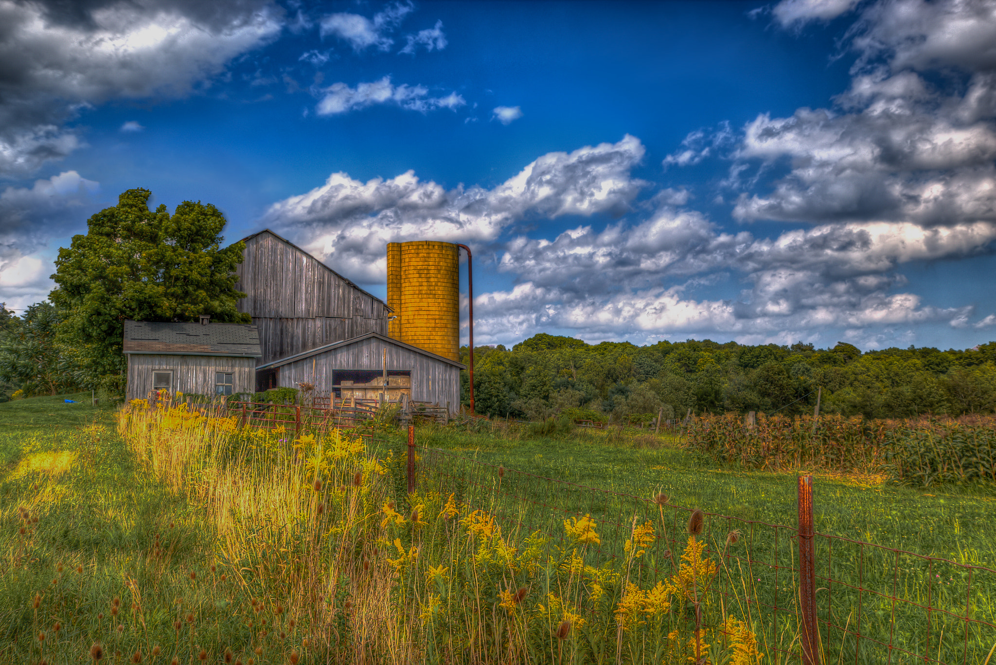 Canon EOS 70D + Canon EF-S 17-55mm F2.8 IS USM sample photo. Aquila barn photography