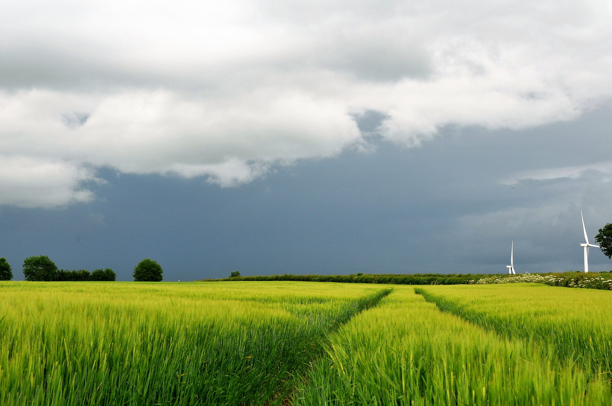 Nikon AF-S DX Micro Nikkor 40mm F2.8 sample photo. Towards the storm photography