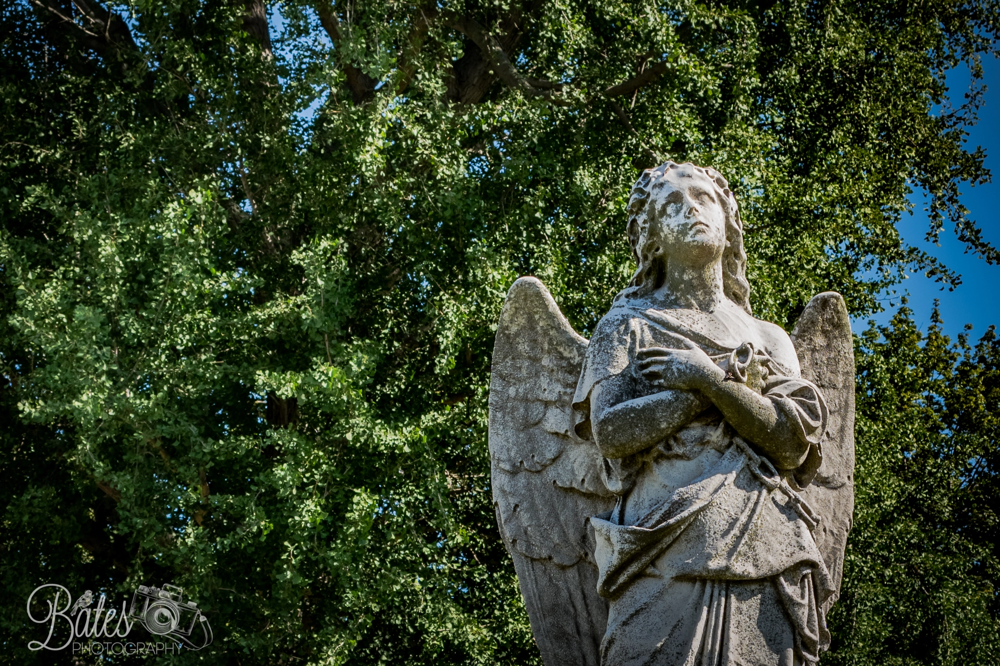 Sony a6300 + ZEISS Batis 25mm F2 sample photo. Laurel hill statues photography