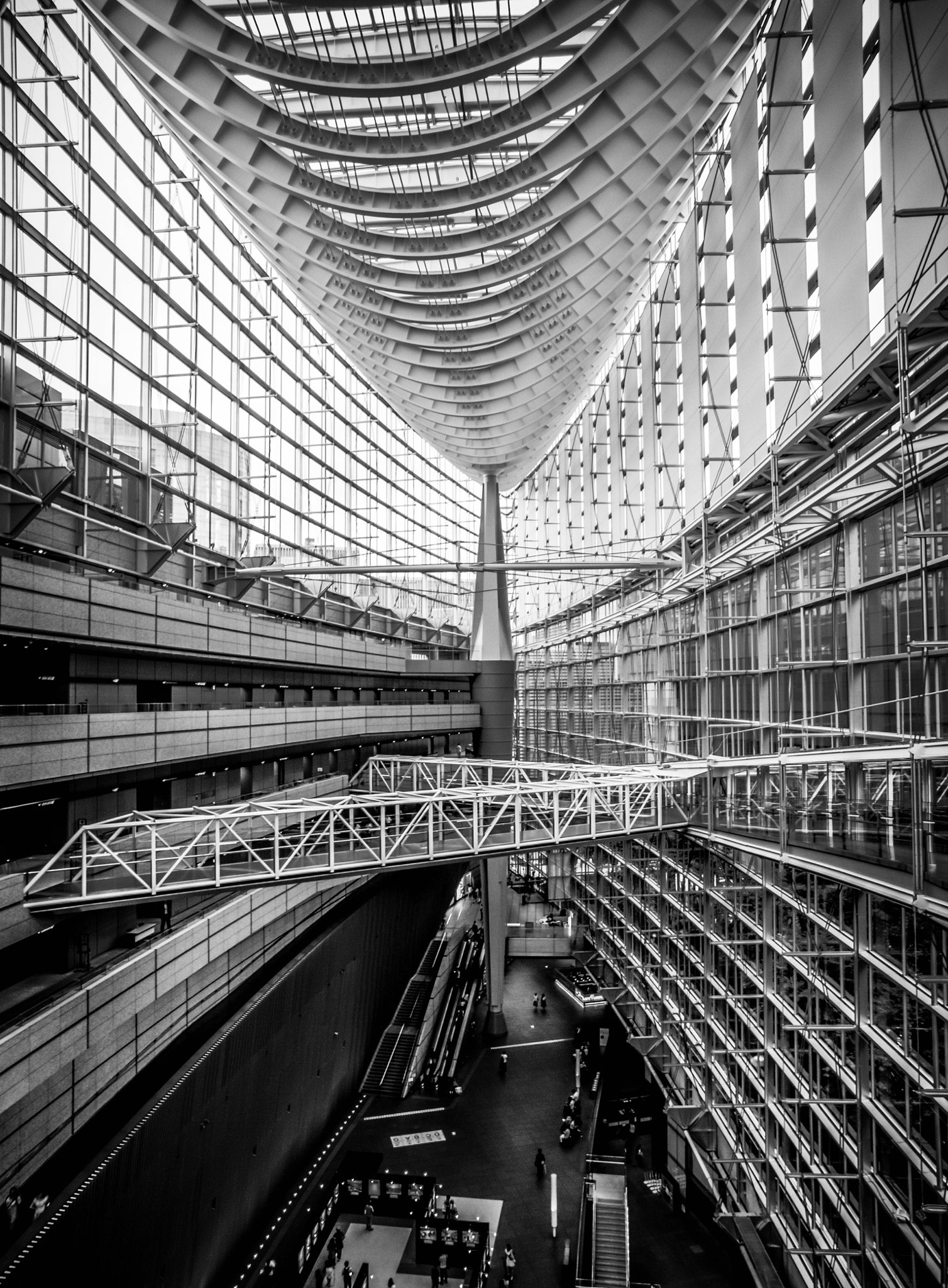 Leica Summilux-M 21mm F1.4 Asph sample photo. Intricate photography
