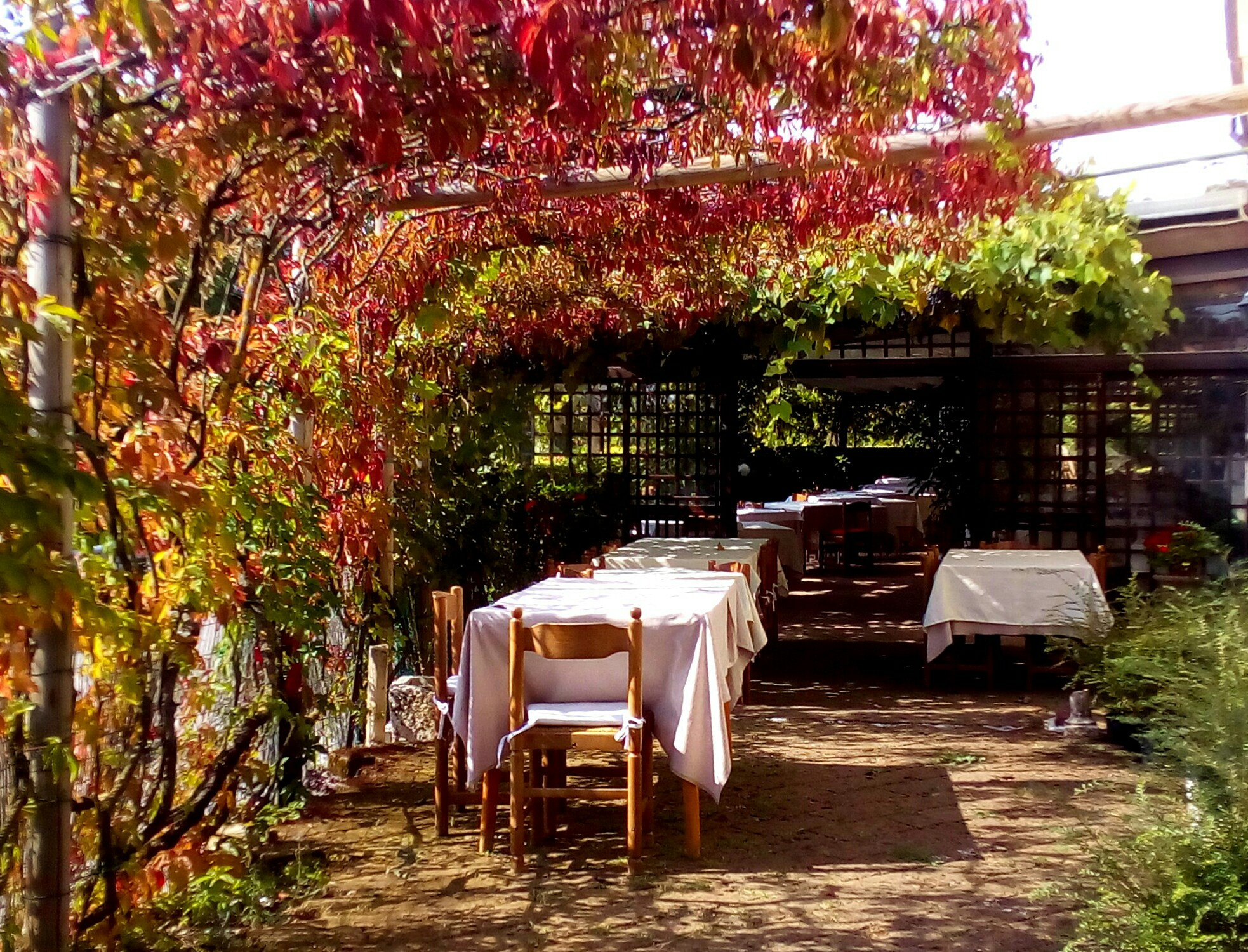 ASUS Zenfone Go (ASUS_Z00VD) sample photo. Restaurant nature photography