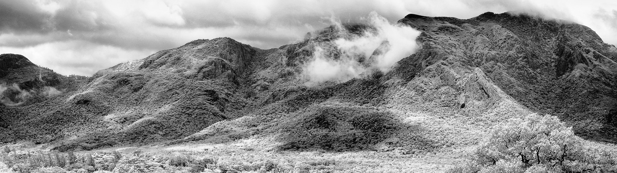Fujifilm X-E1 + Fujifilm XF 55-200mm F3.5-4.8 R LM OIS sample photo. Landscape in ir photography