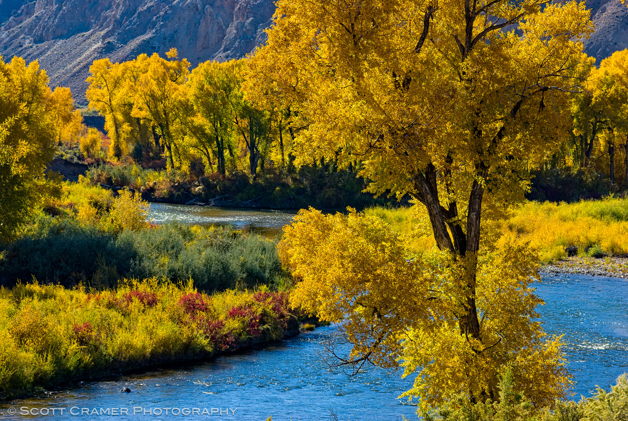 Nikon D200 sample photo. Vibrant fall colors along eagle river photography