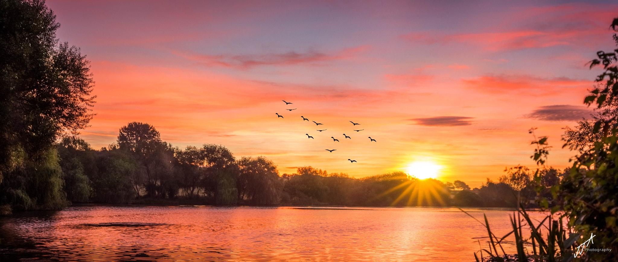 Sigma 24-70mm F2.8 EX DG HSM sample photo. Birds at sunrise photography