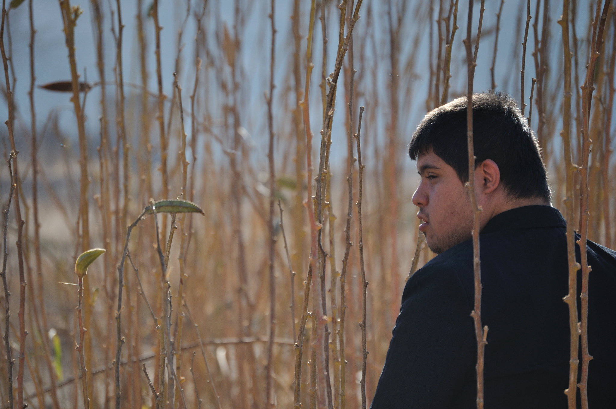 Nikon D5000 sample photo. Diclenin melekleri photography