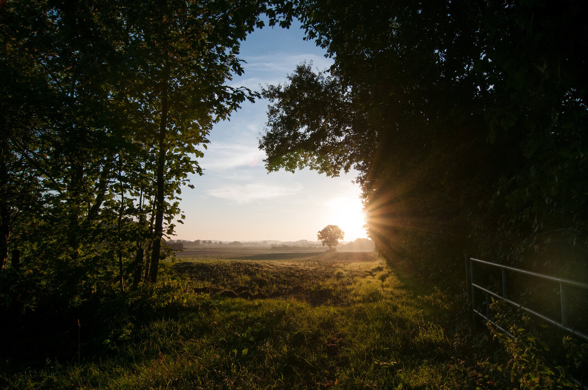 Tokina AT-X Pro 12-24mm F4 (IF) DX sample photo. The entrance to fairyland photography