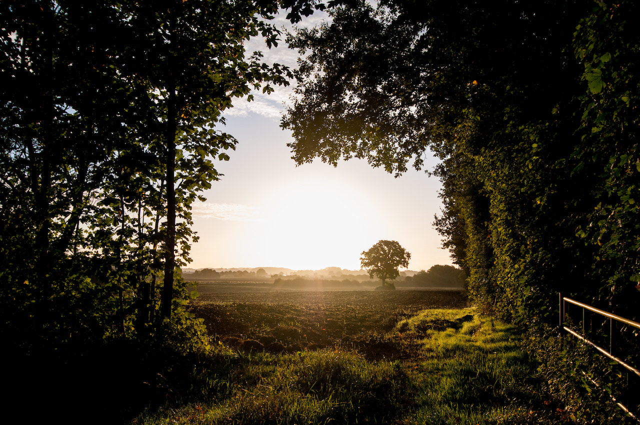 Tokina AT-X Pro 12-24mm F4 (IF) DX sample photo. The shire photography