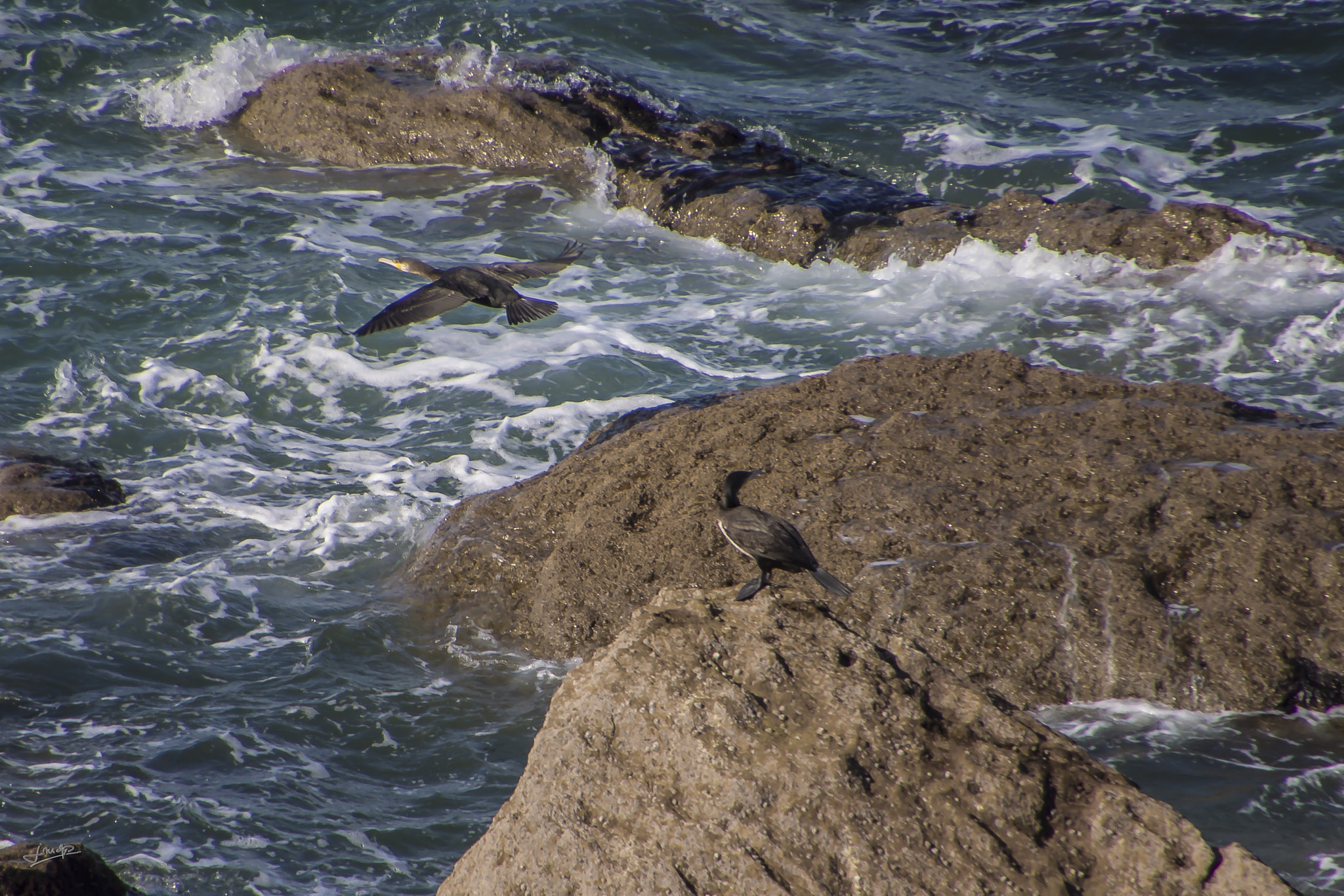 Tamron 16-300mm F3.5-6.3 Di II VC PZD Macro sample photo. Cap gris nez france photography
