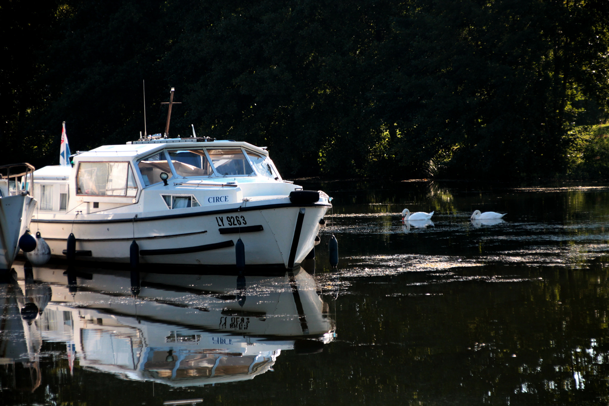 Canon EOS 1100D (EOS Rebel T3 / EOS Kiss X50) + Canon TS-E 90mm F2.8 Tilt-Shift sample photo. Swans approaching boats photography