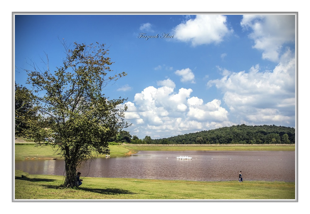 Canon EF 24-70mm F2.8L II USM sample photo