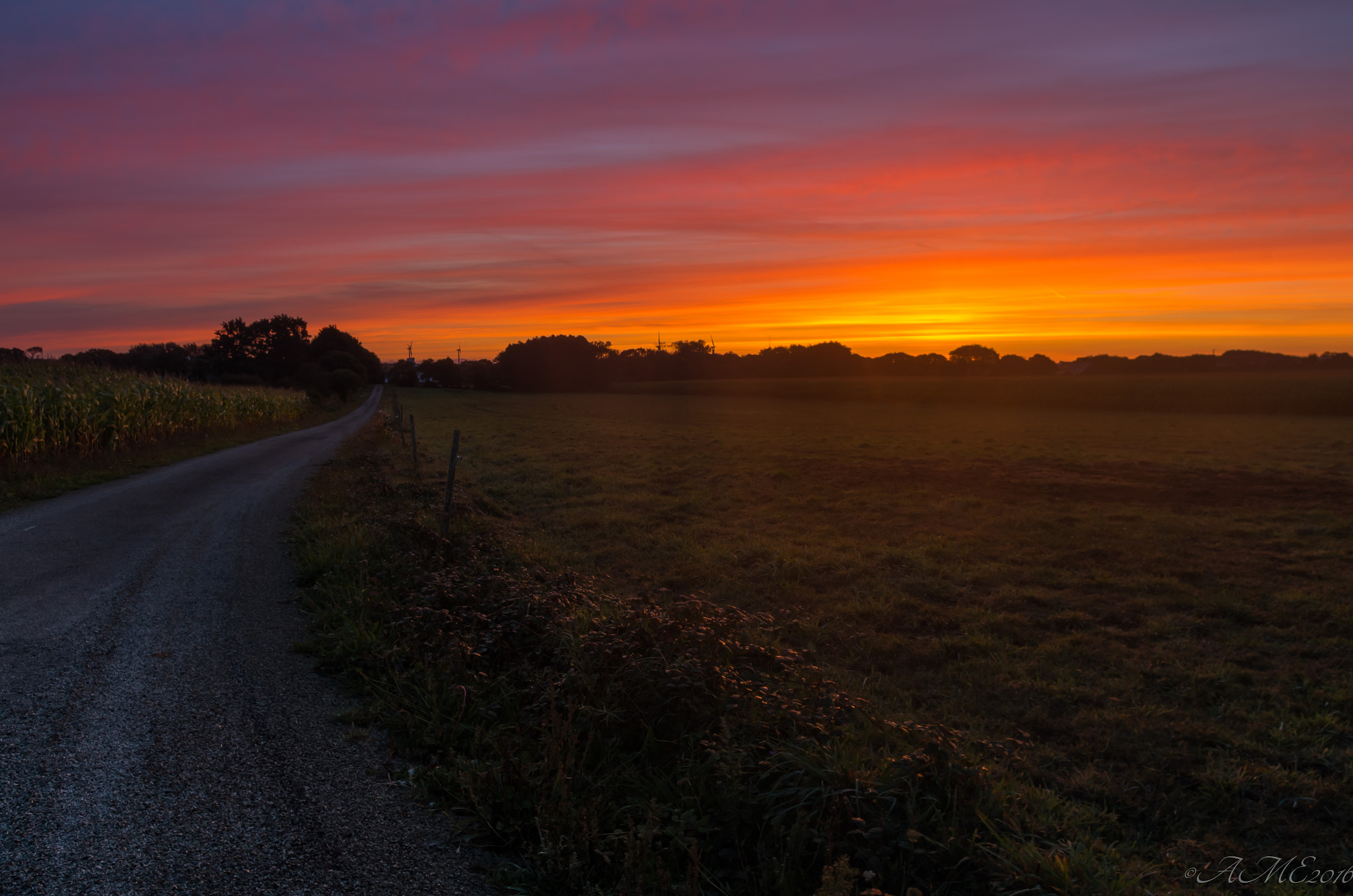 Pentax K-5 II sample photo. Morning symphony photography