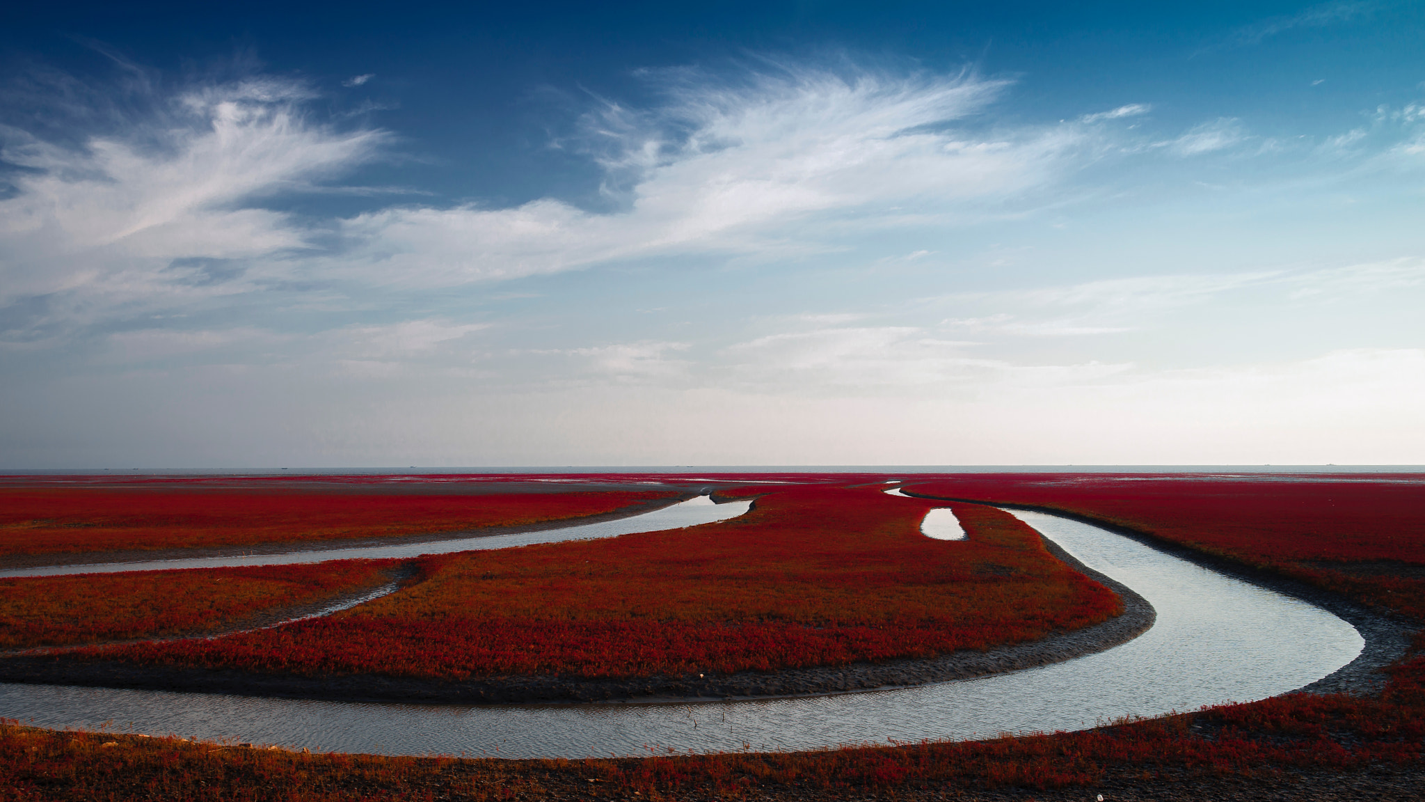 Nikon D800E sample photo. The red beach photography